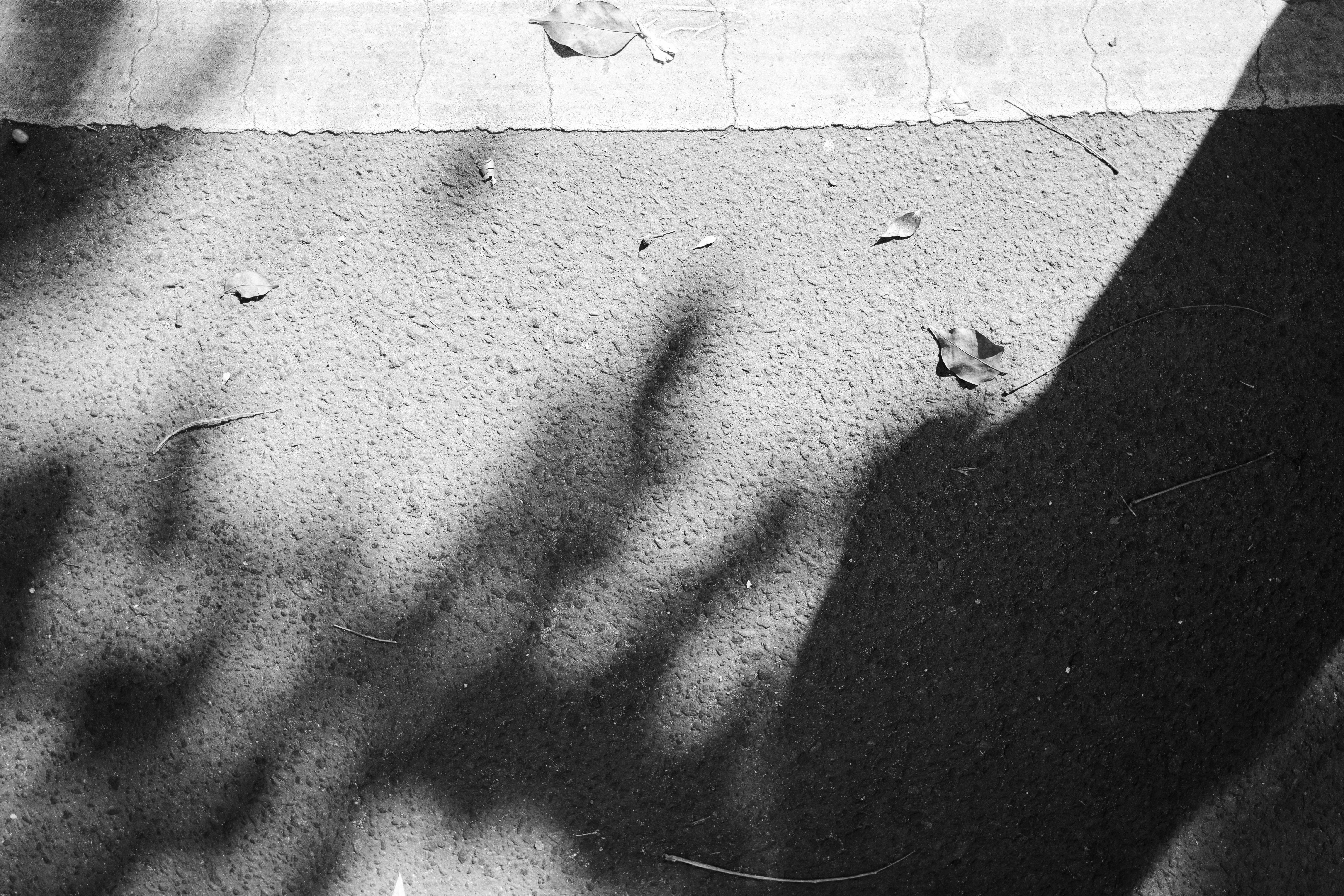 Photo by jeremianathanael_