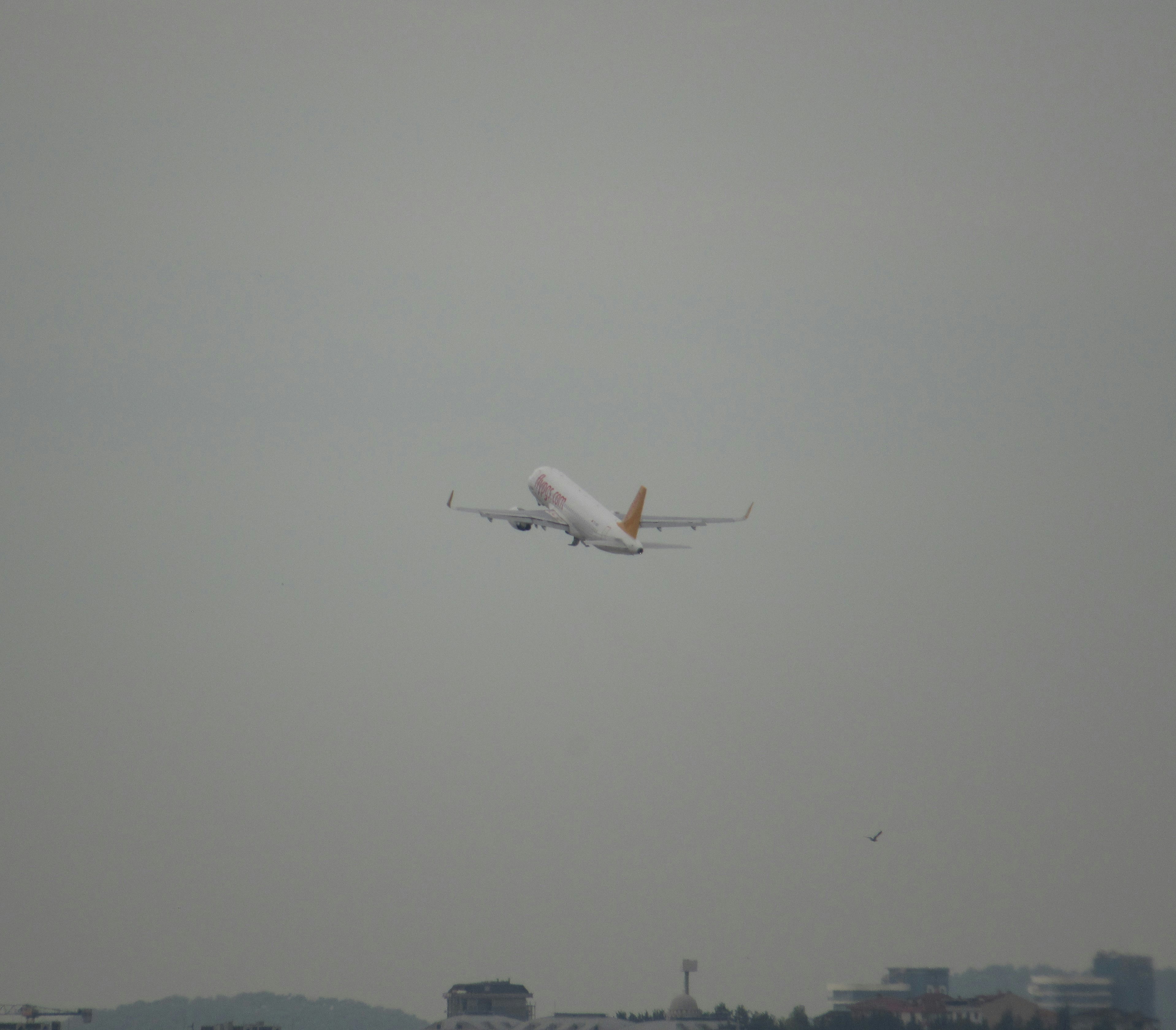 A large jetliner flying through a cloudy sky