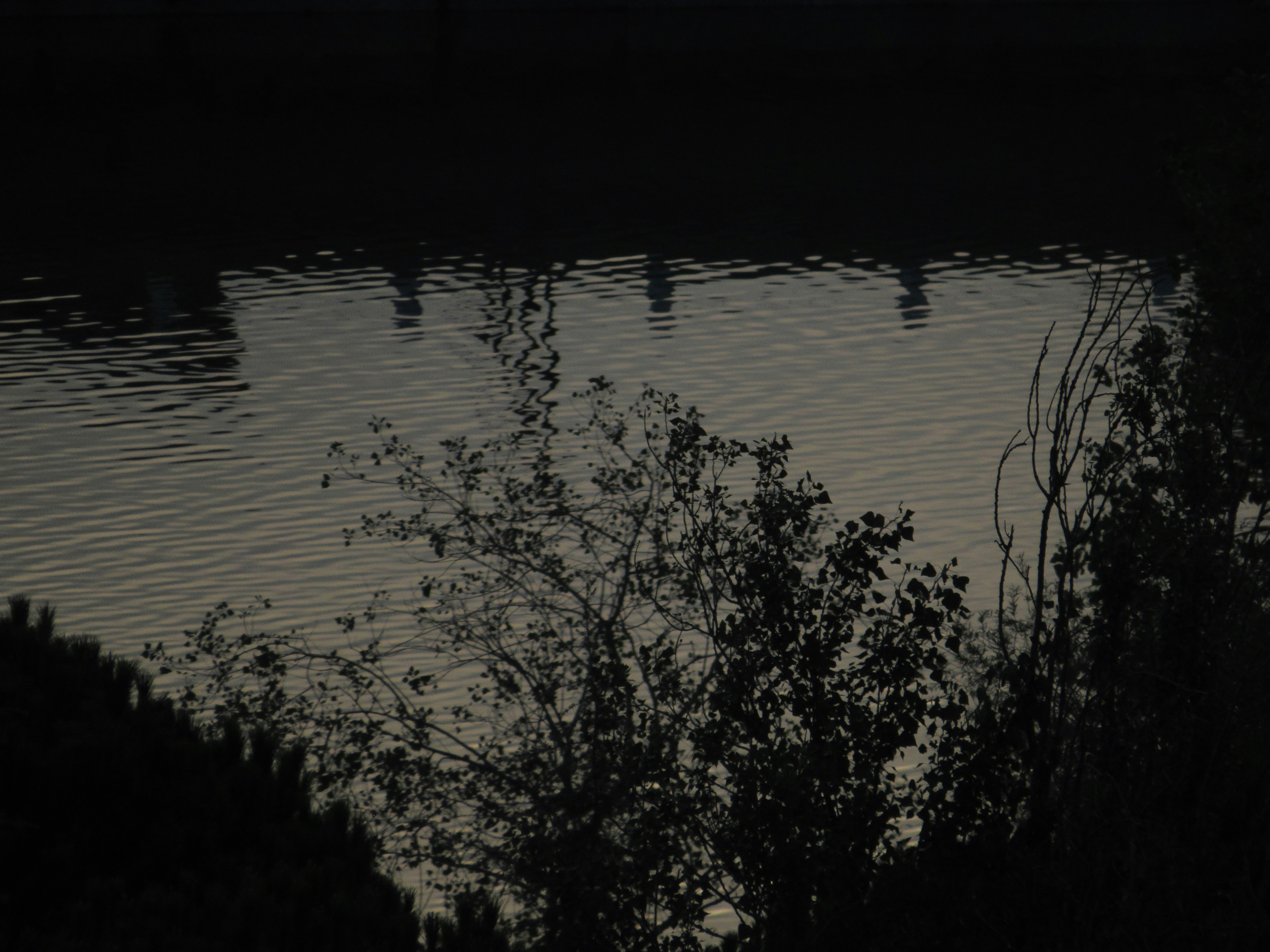 A black and white photo of a body of water