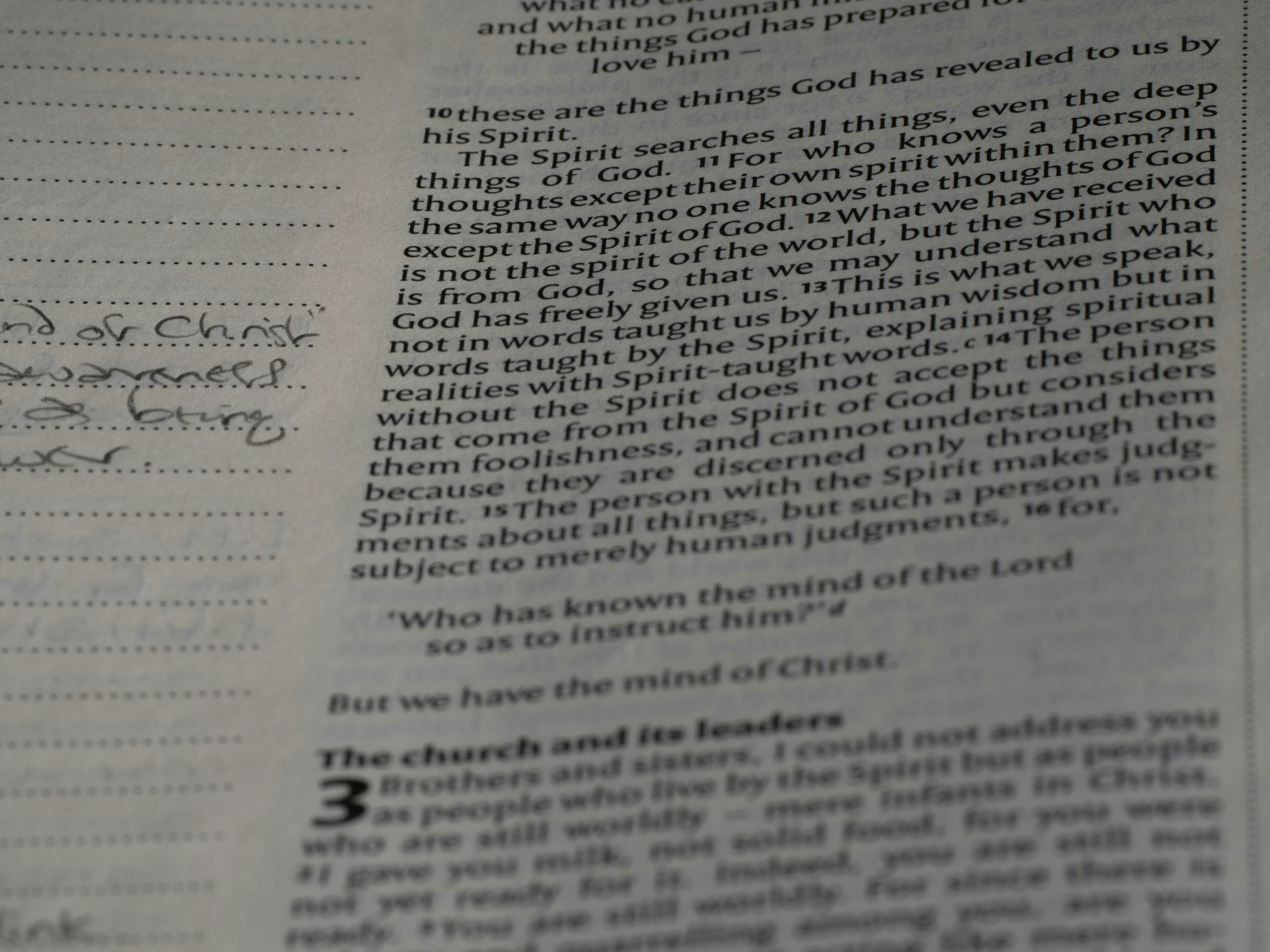 Photo by brett_jordan