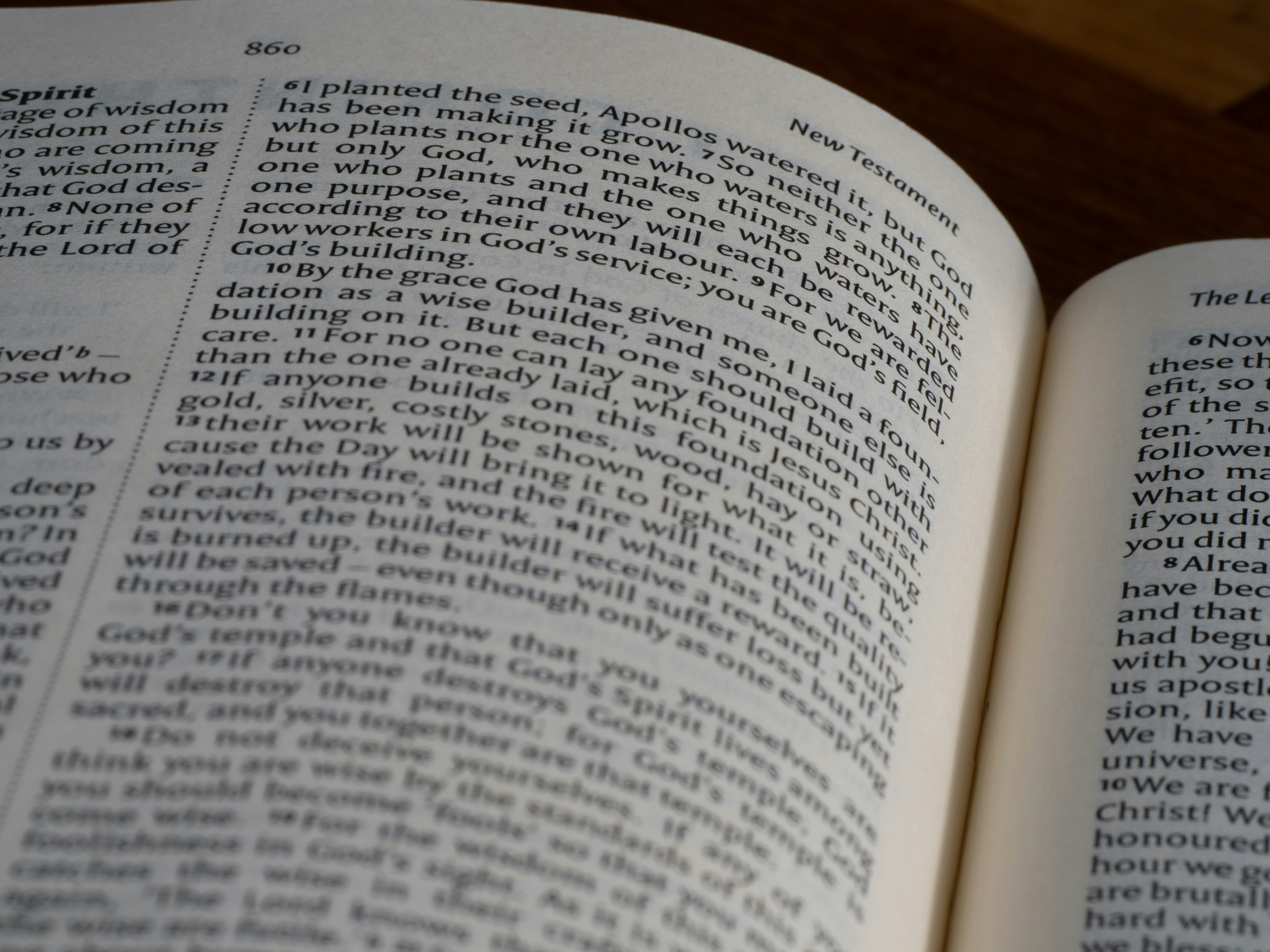 Photo by brett_jordan