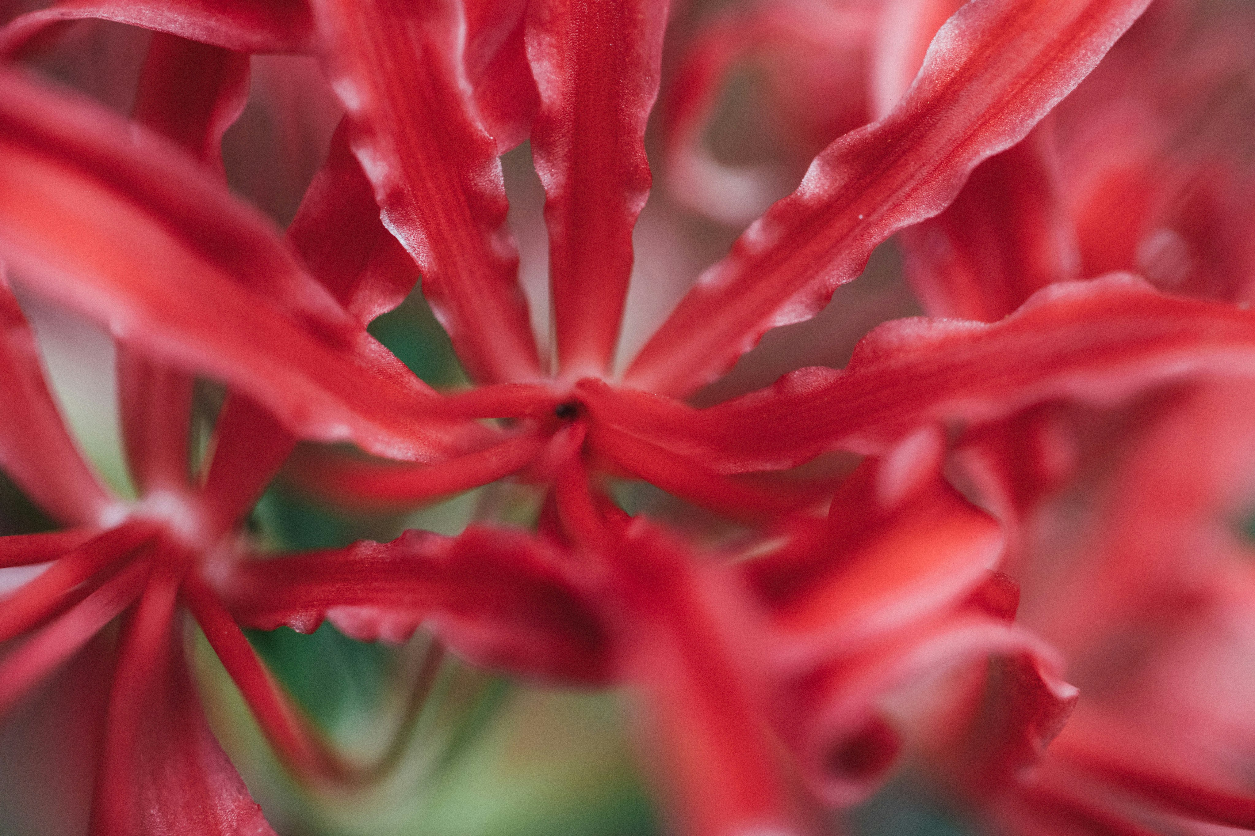 Photo by tsuyoshikozu