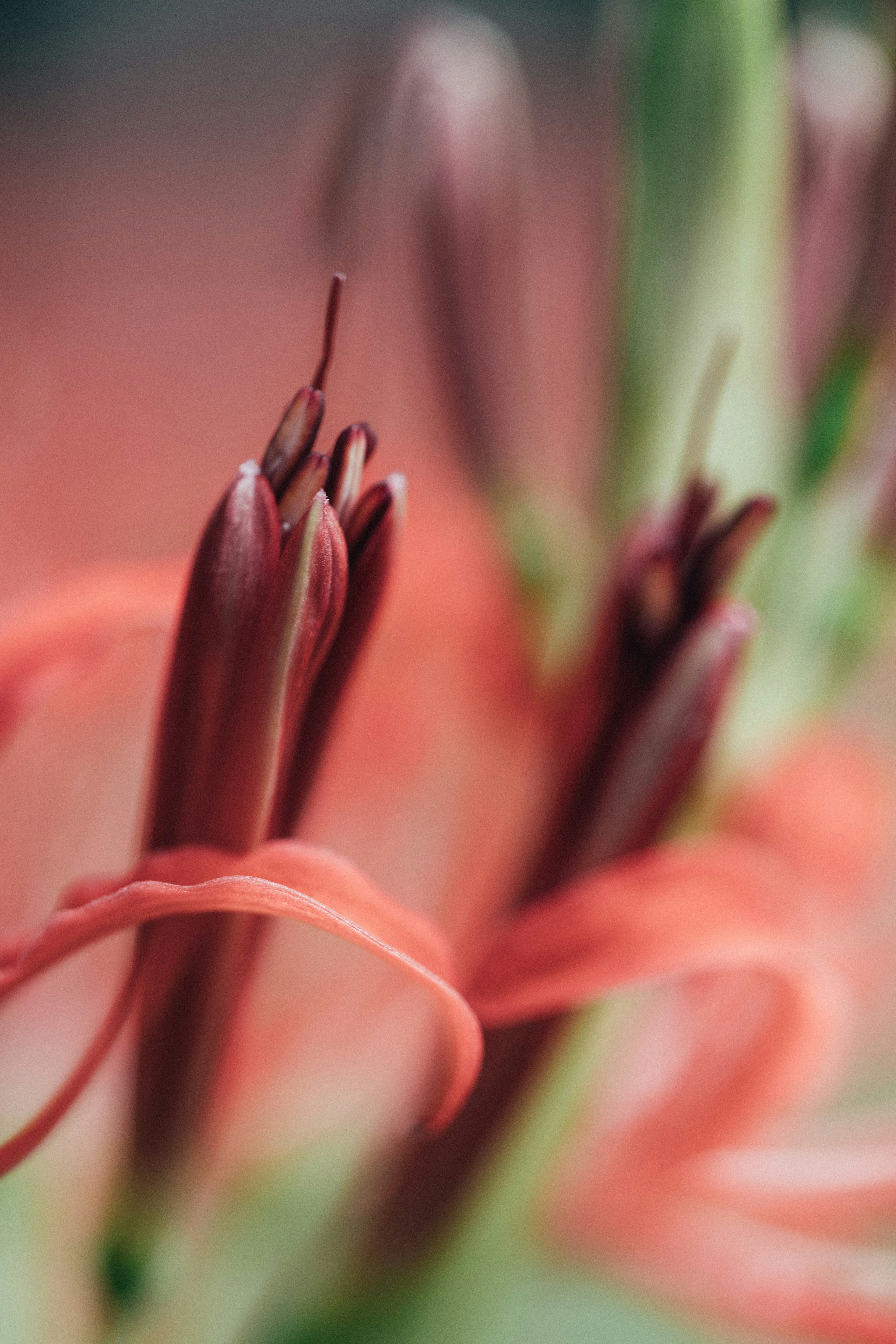 Photo by tsuyoshikozu