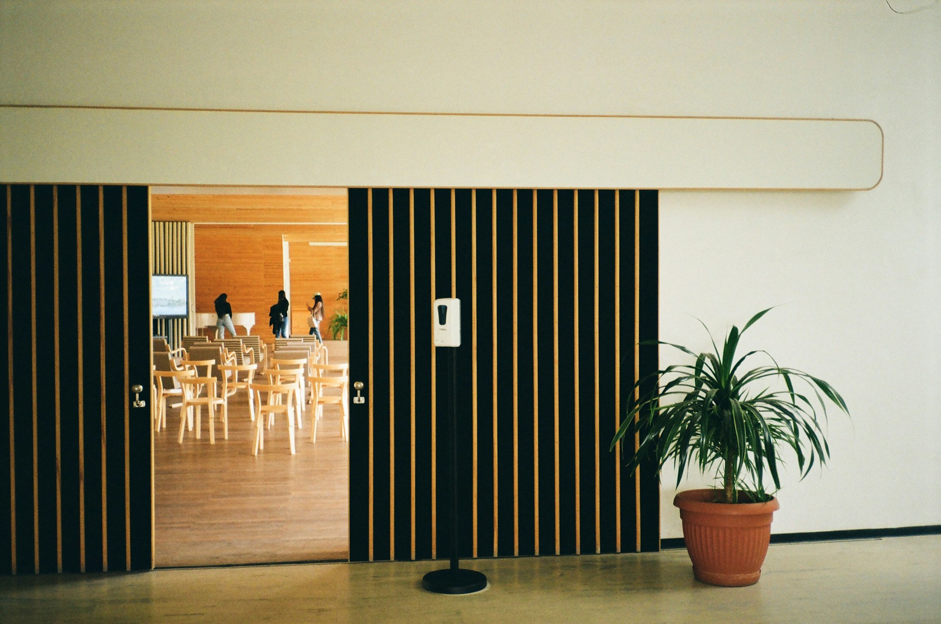 A potted plant sitting in front of a sliding glass door