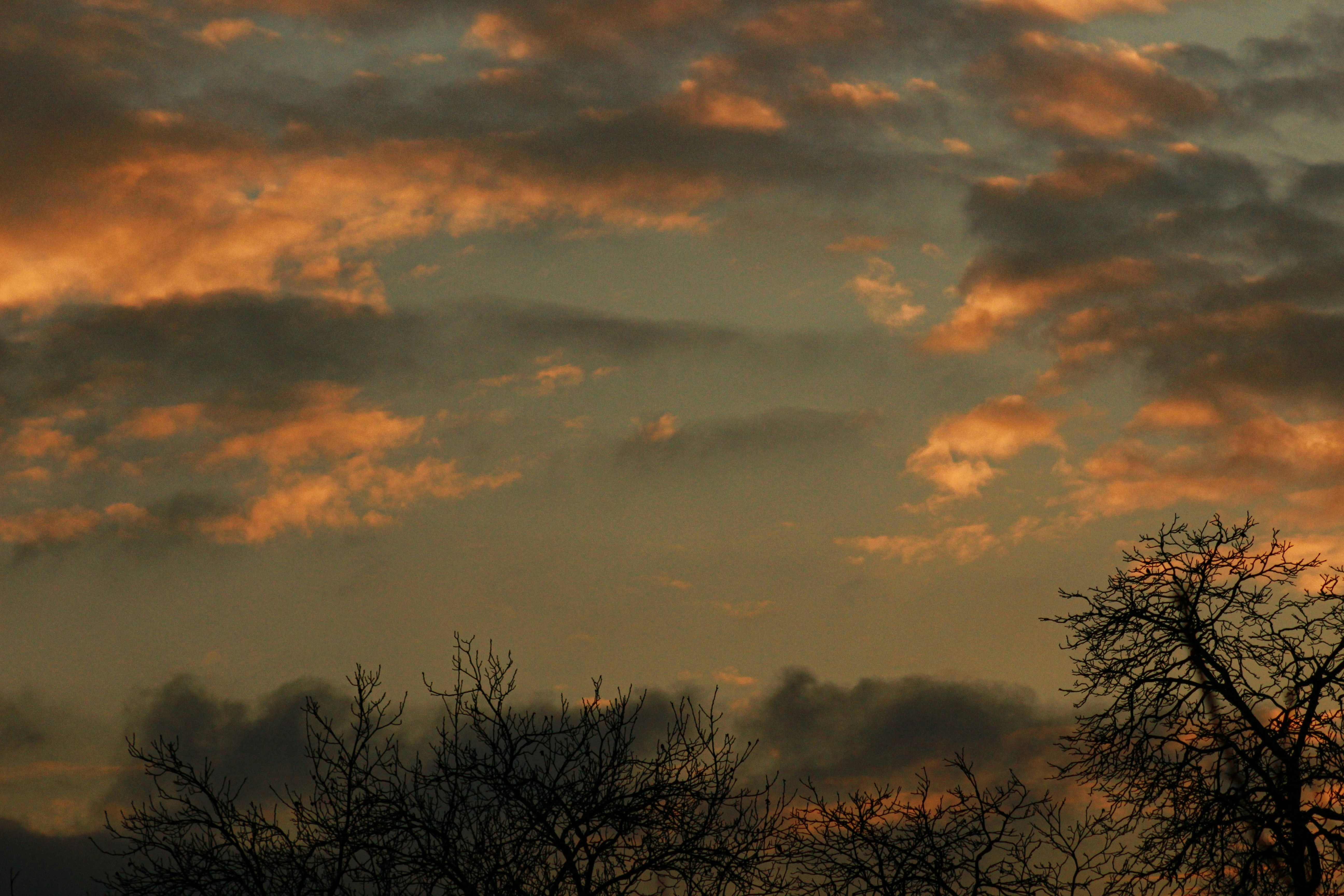 Photo by michael_kater