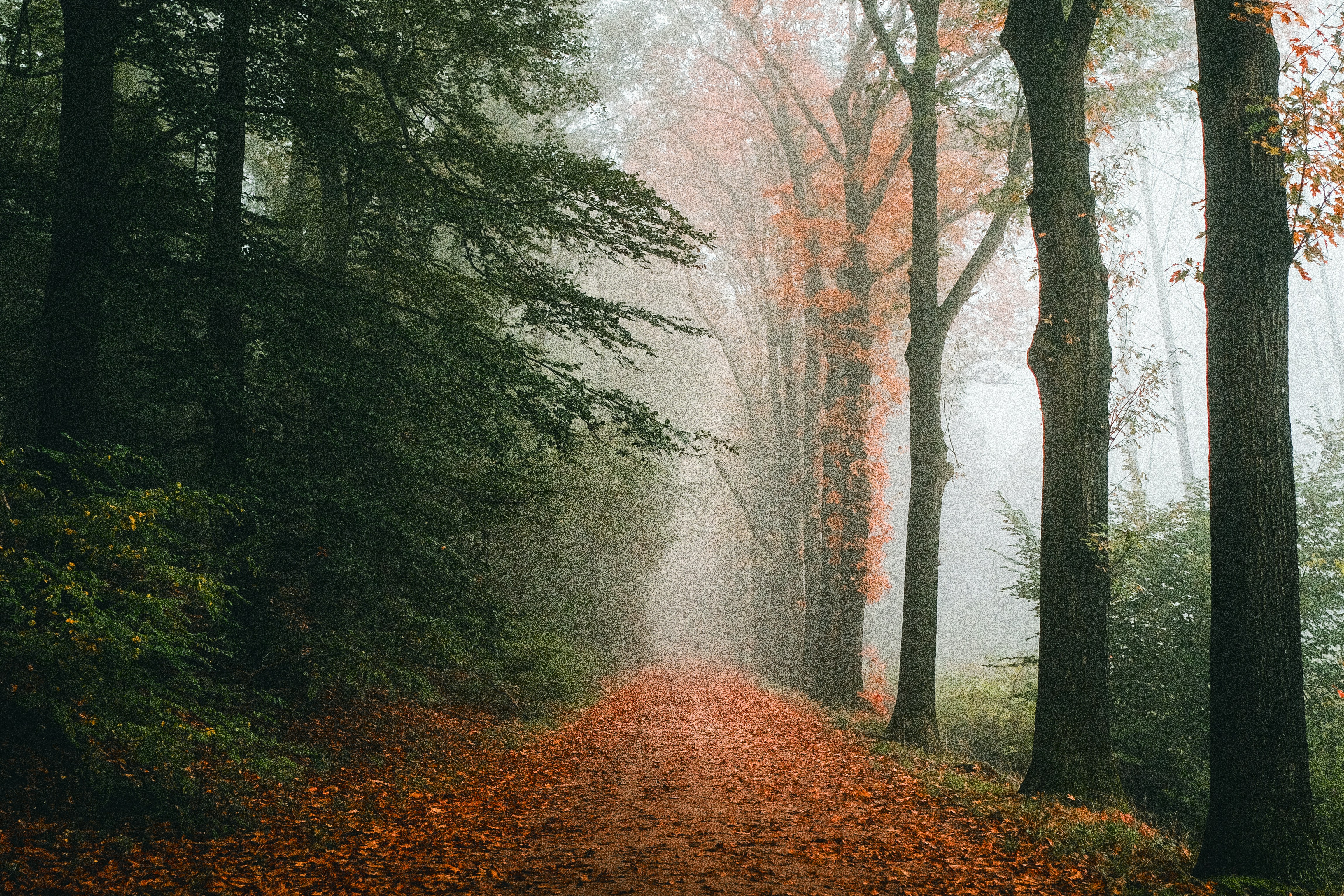 Photo by visualsbying