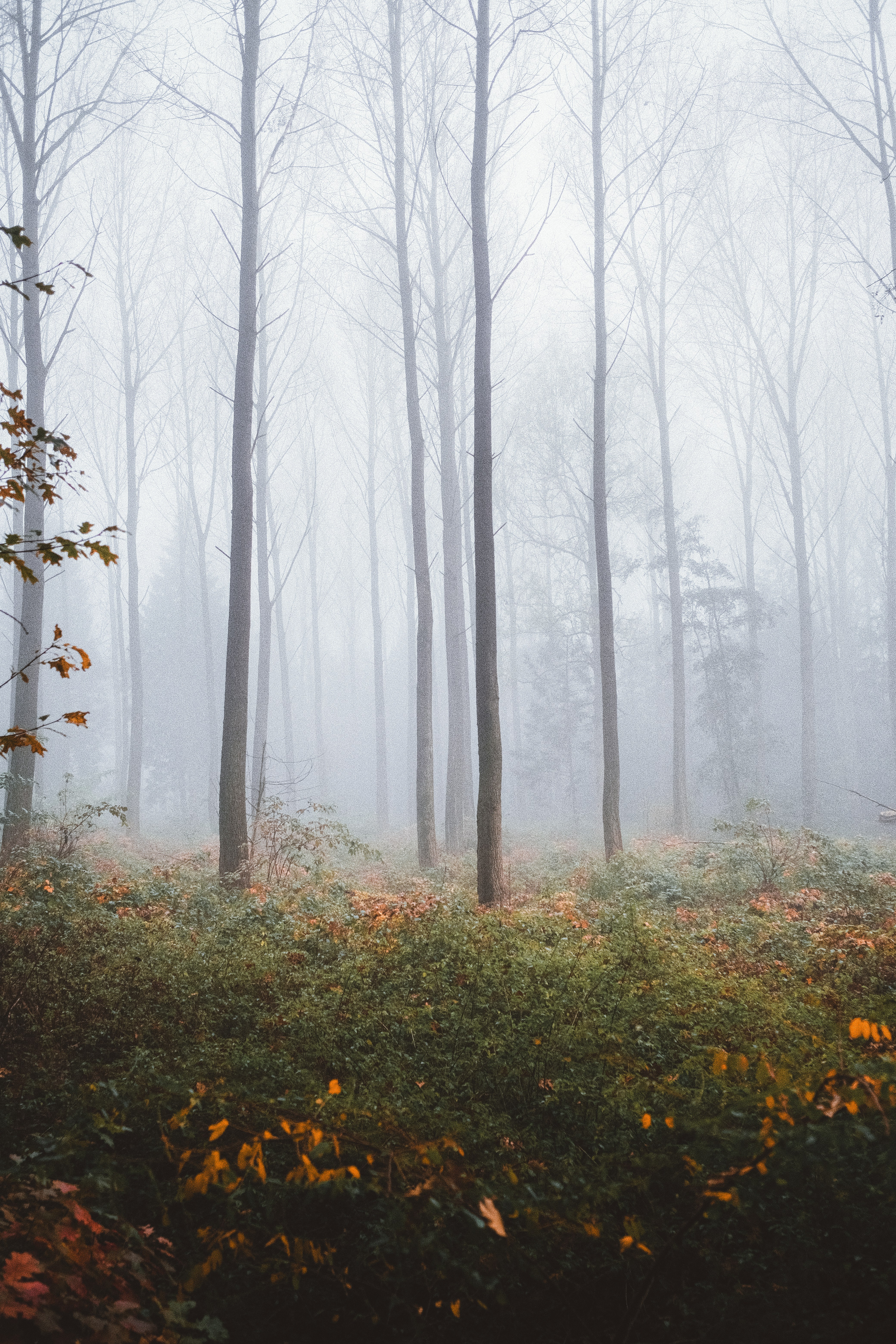 Photo by visualsbying