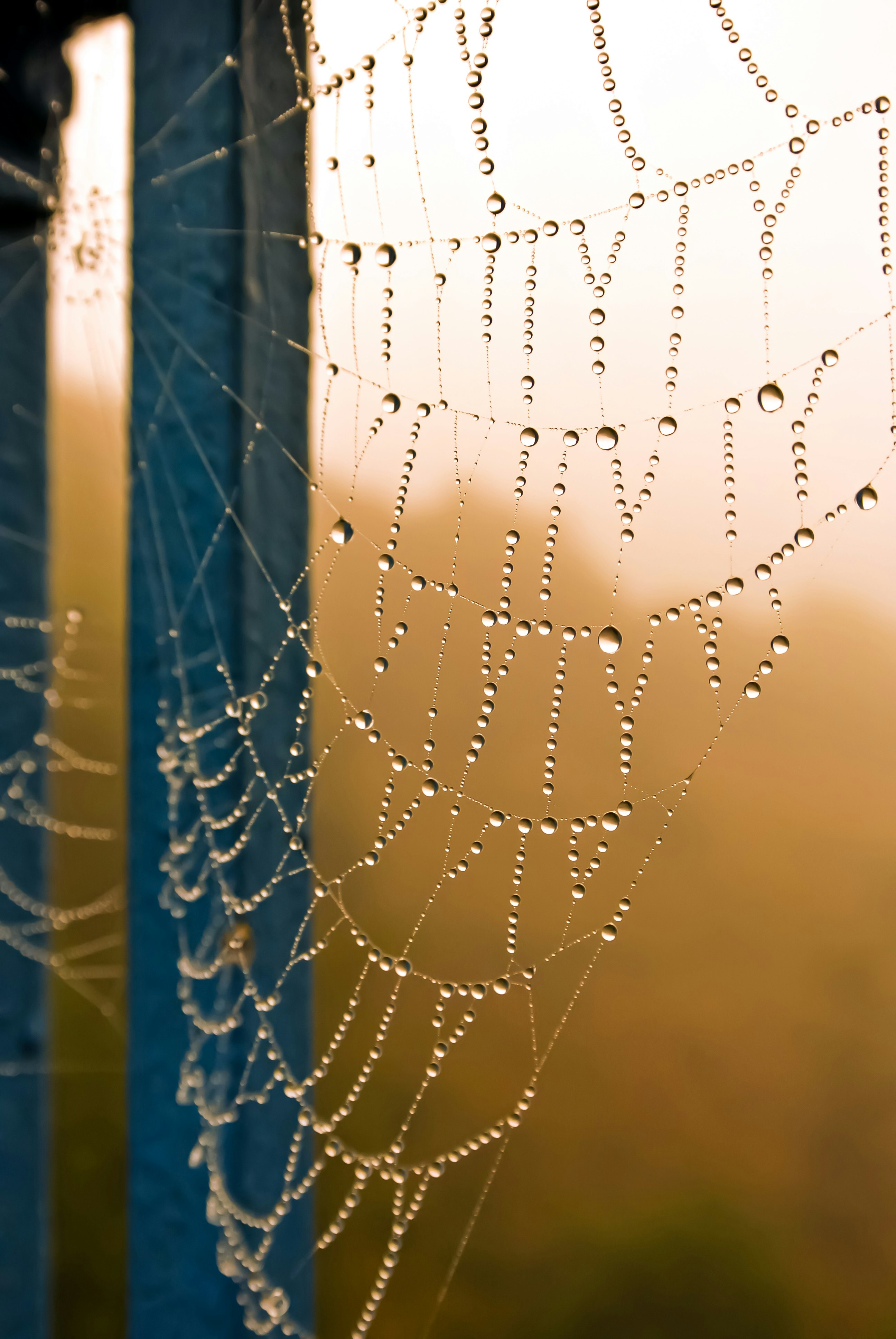 Photo by photographybunnys