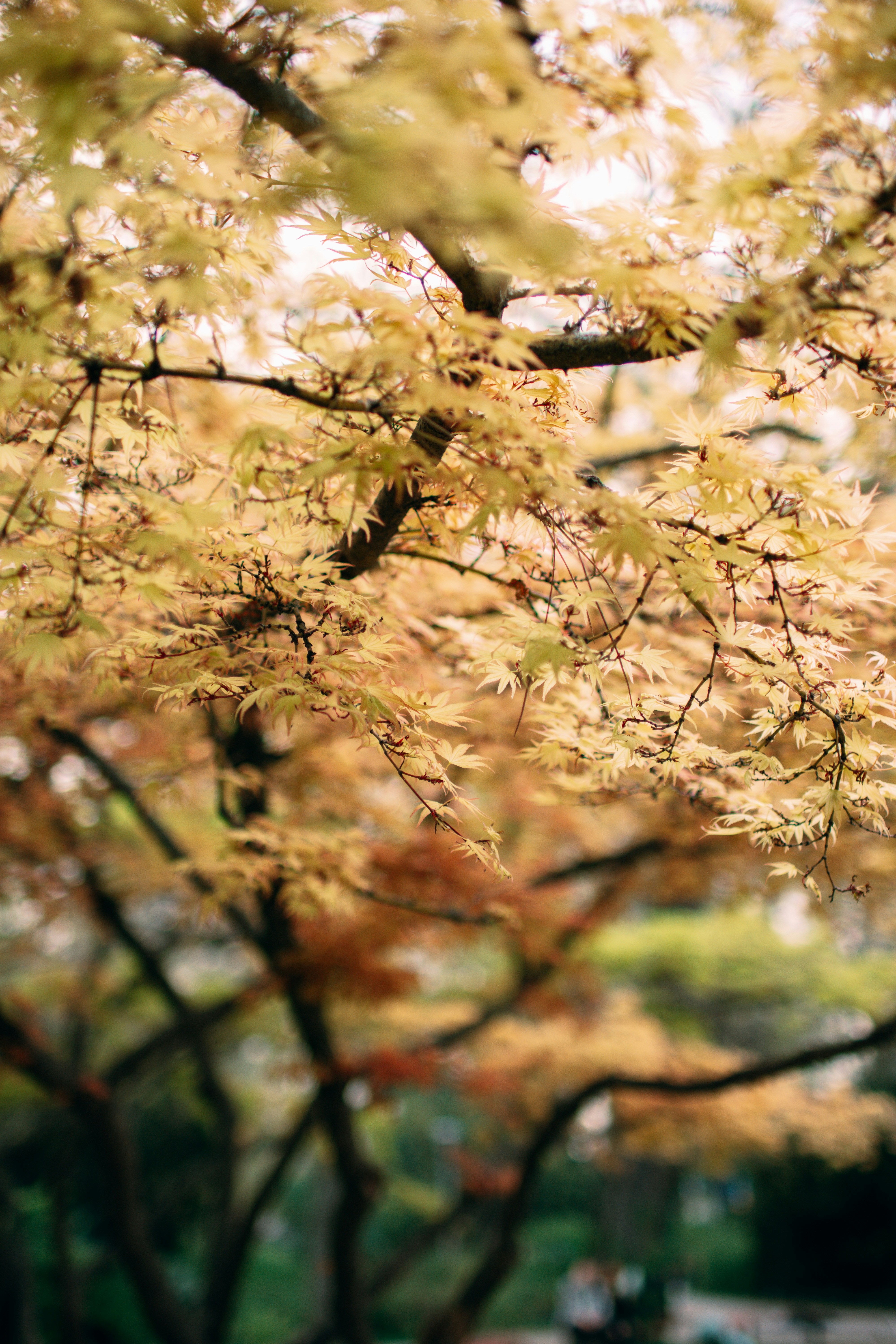 Photo by amirhb585