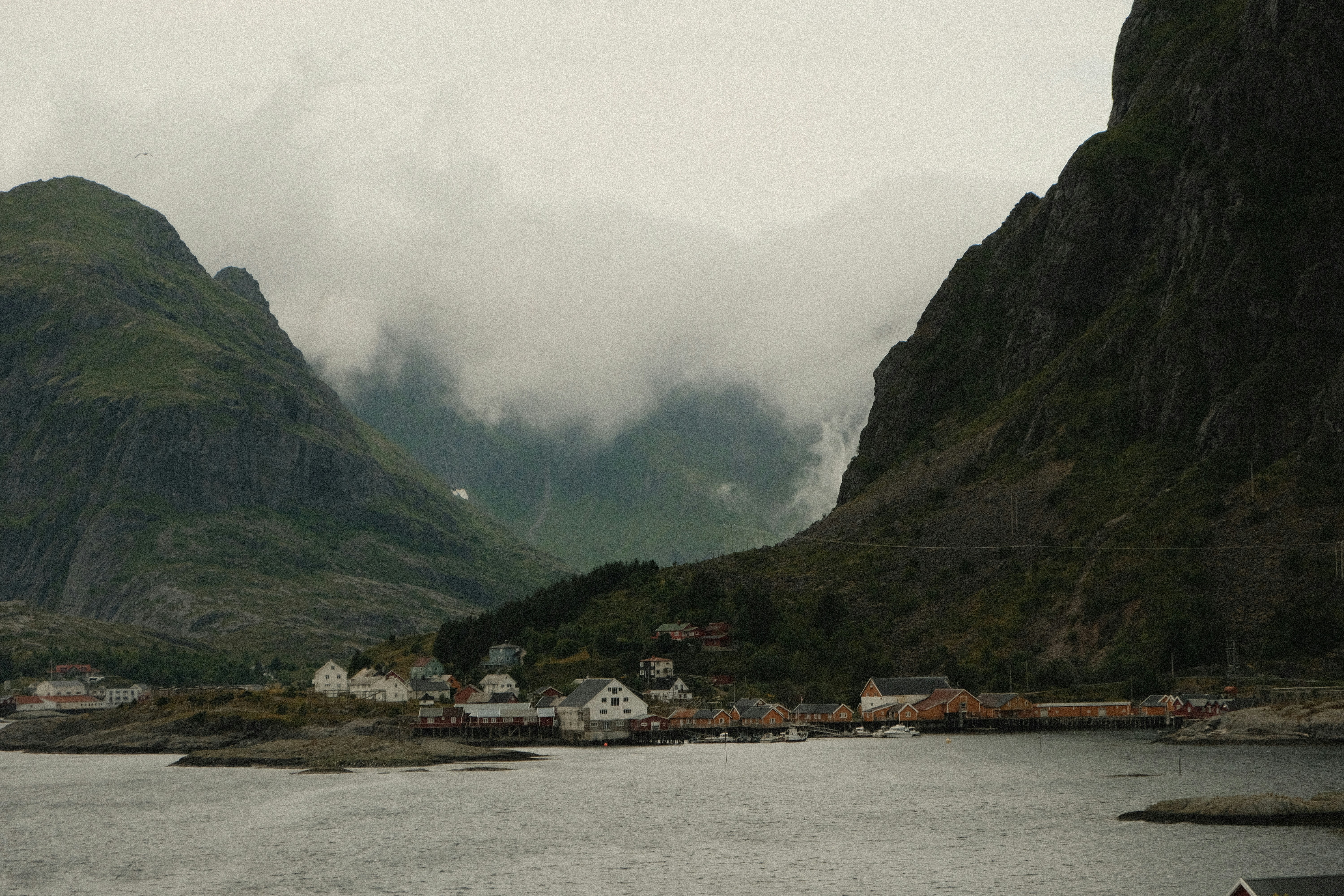 Photo by moritz_photography