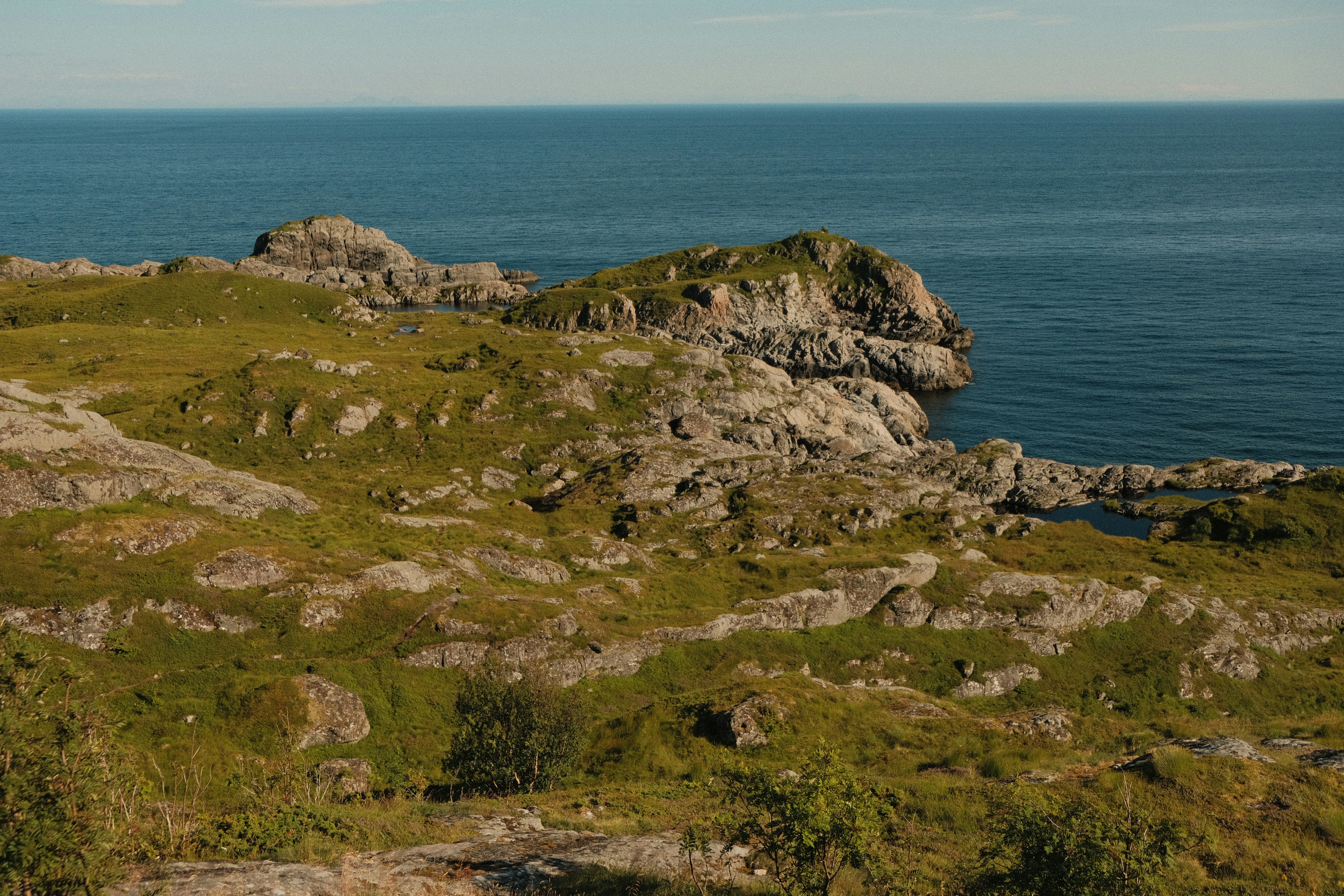 Photo by moritz_photography