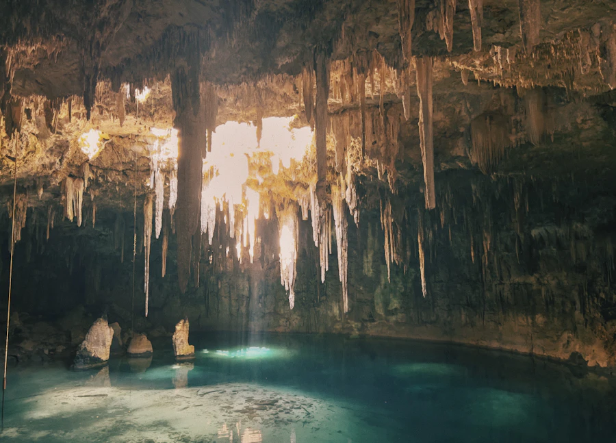 Freshwater cenote surrounded by mangrove forest near Tankah Bay
