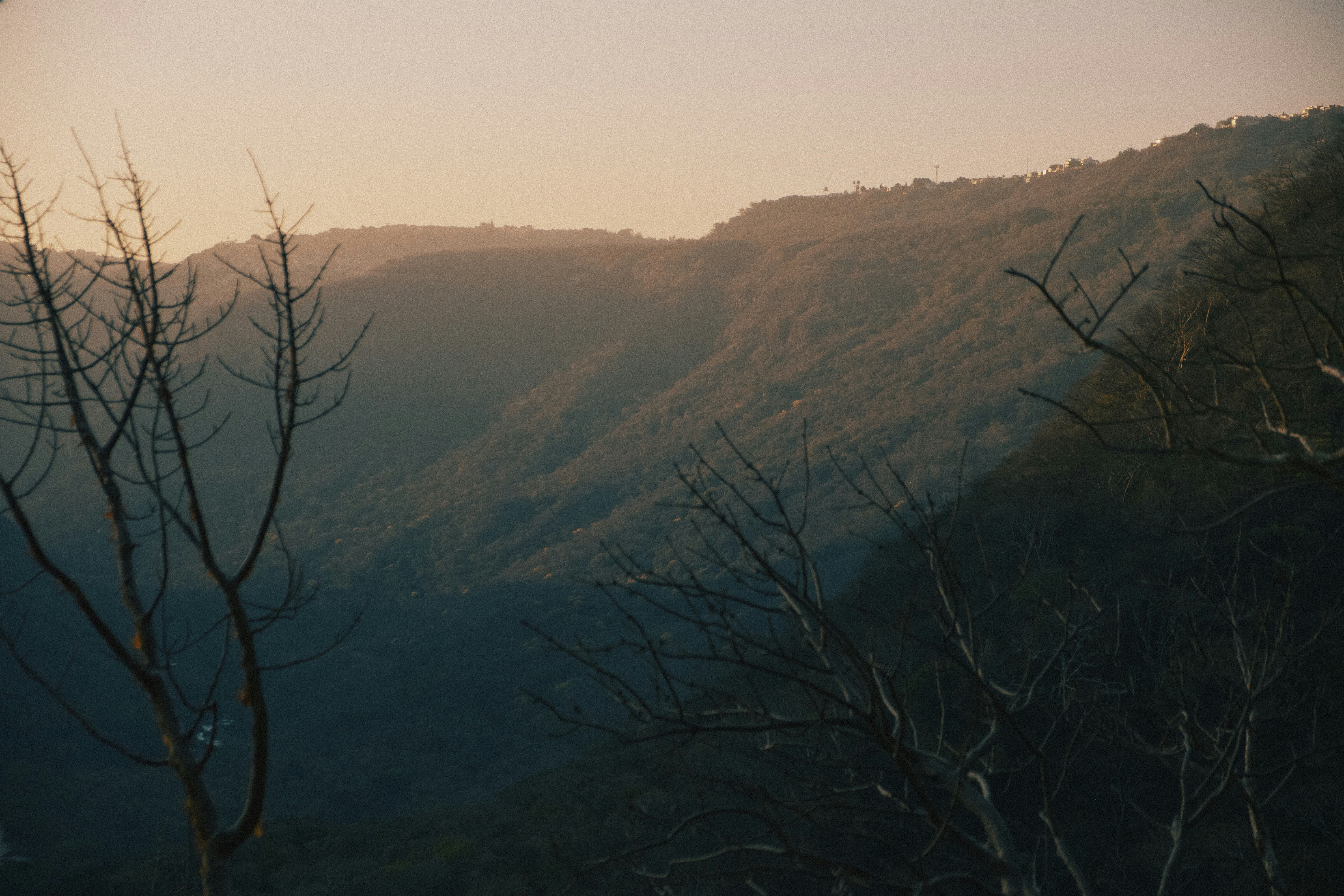 Photo by moritz_photography