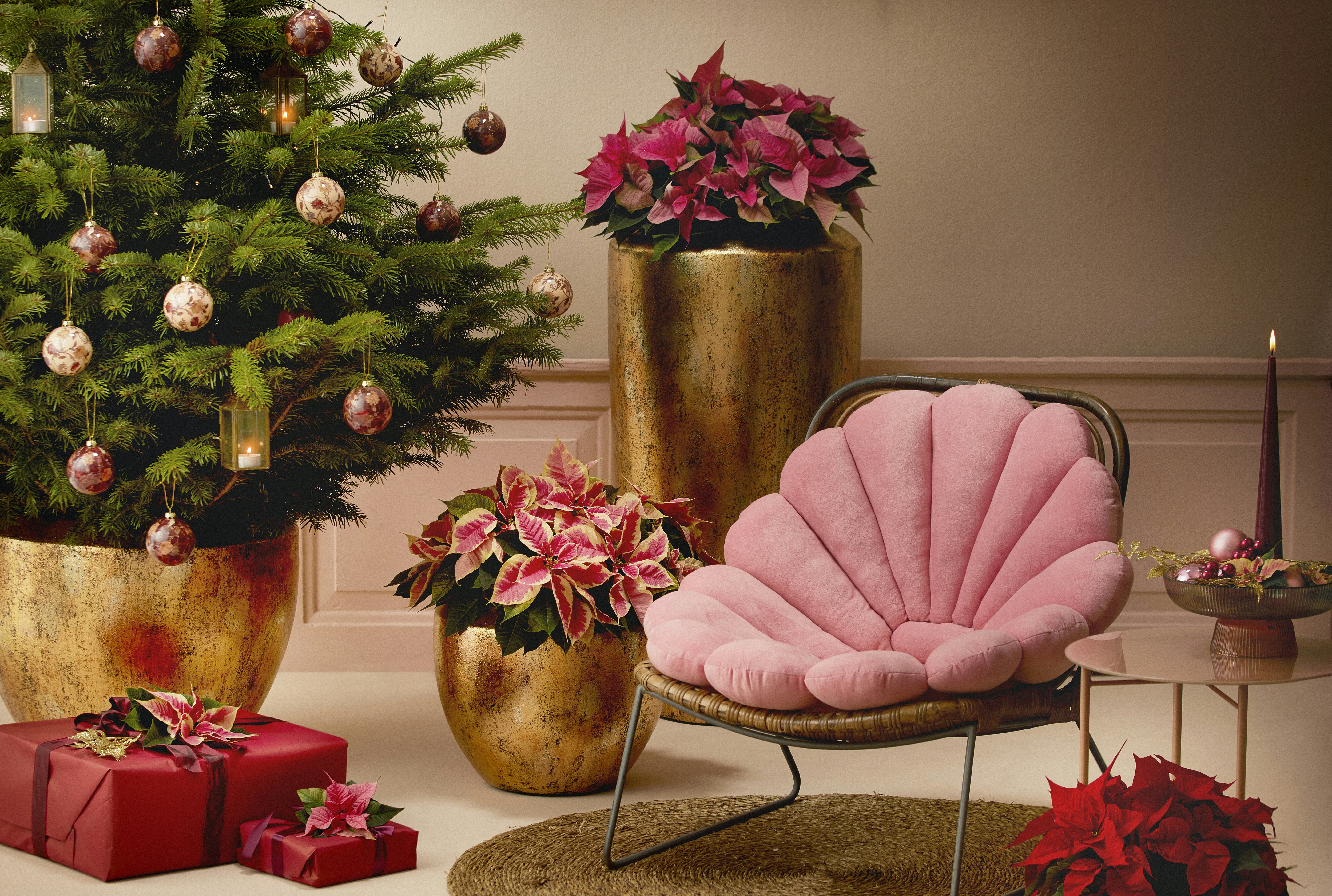 A room with a christmas tree, presents, and a chair