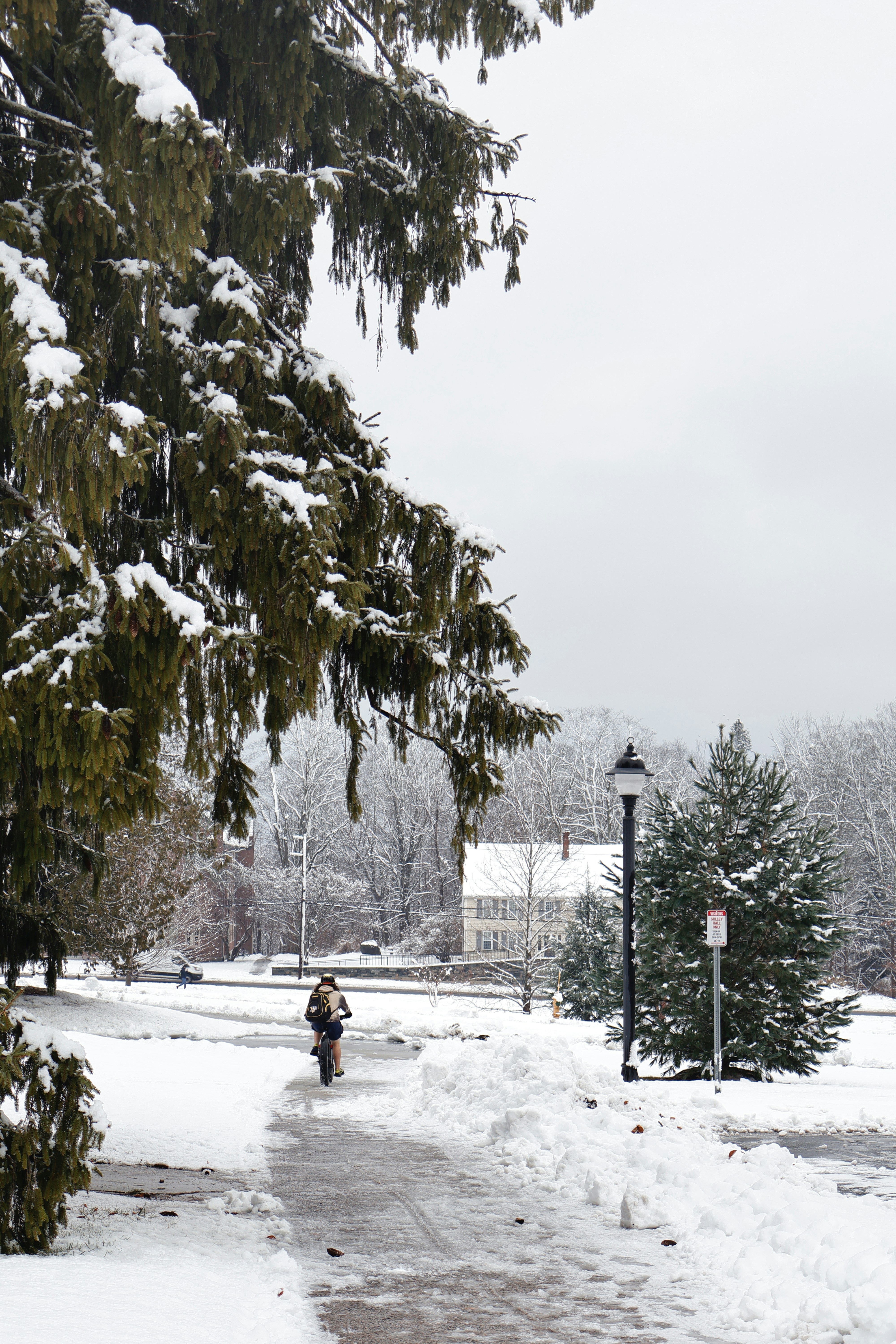 Photo by belanasaikiran