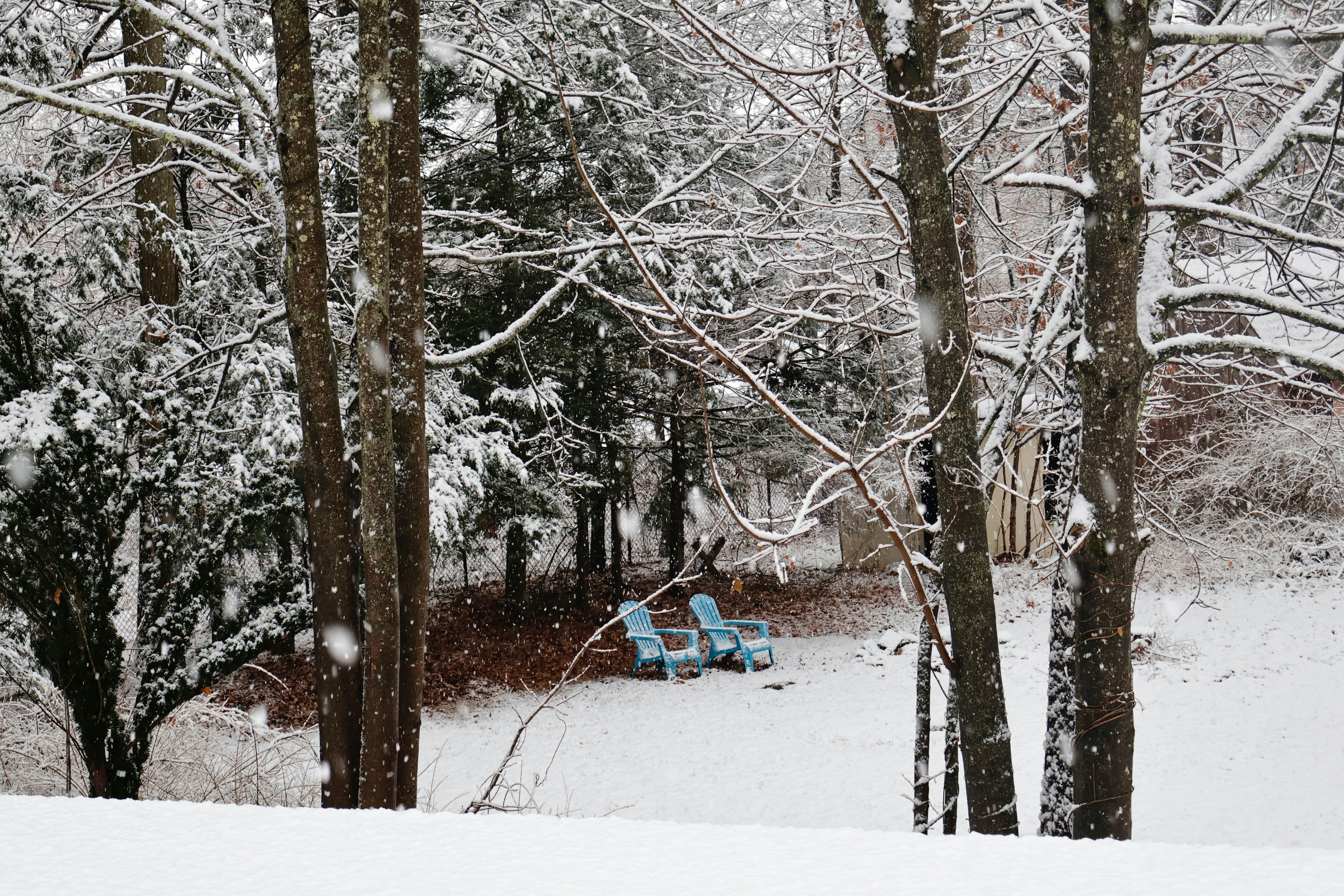 Photo by belanasaikiran