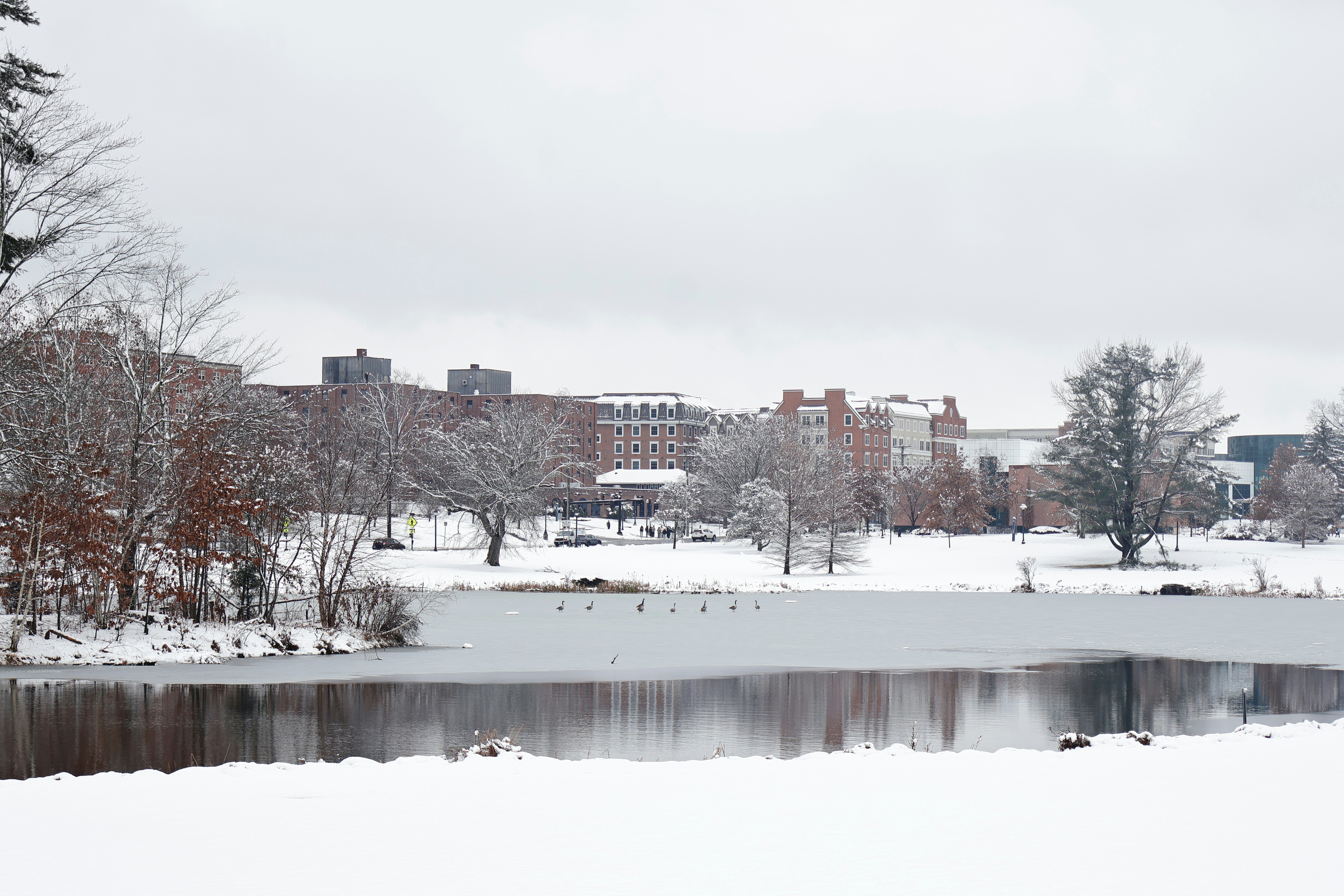 Photo by belanasaikiran