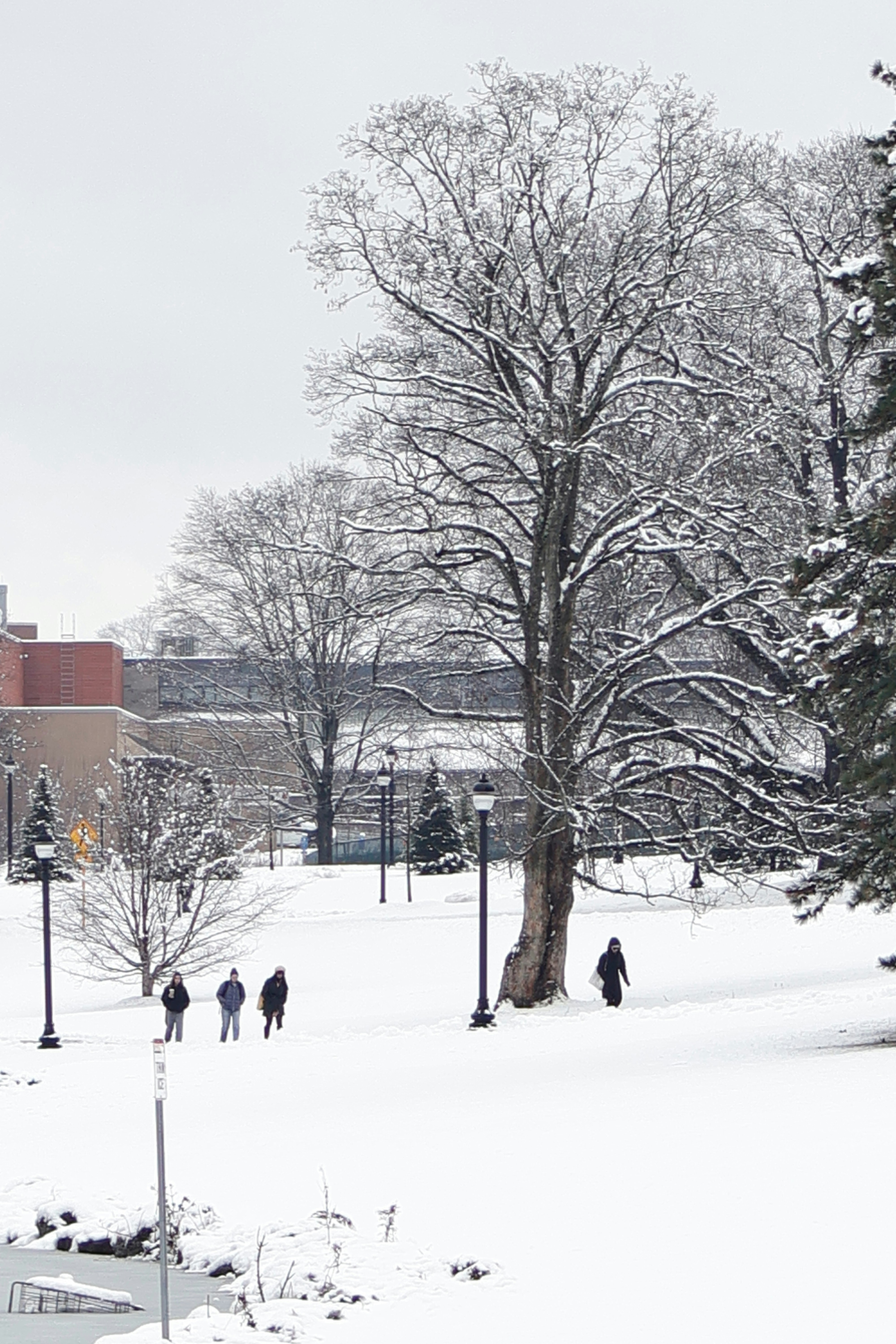 Photo by belanasaikiran