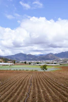 A plowed field with mountains in the background