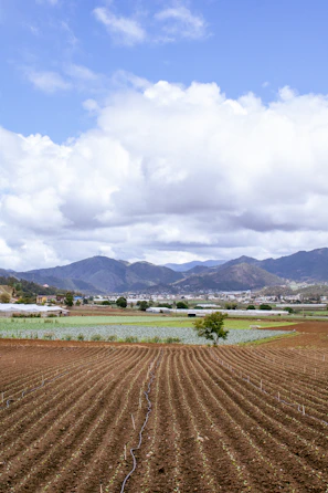 A plowed field with mountains in the background