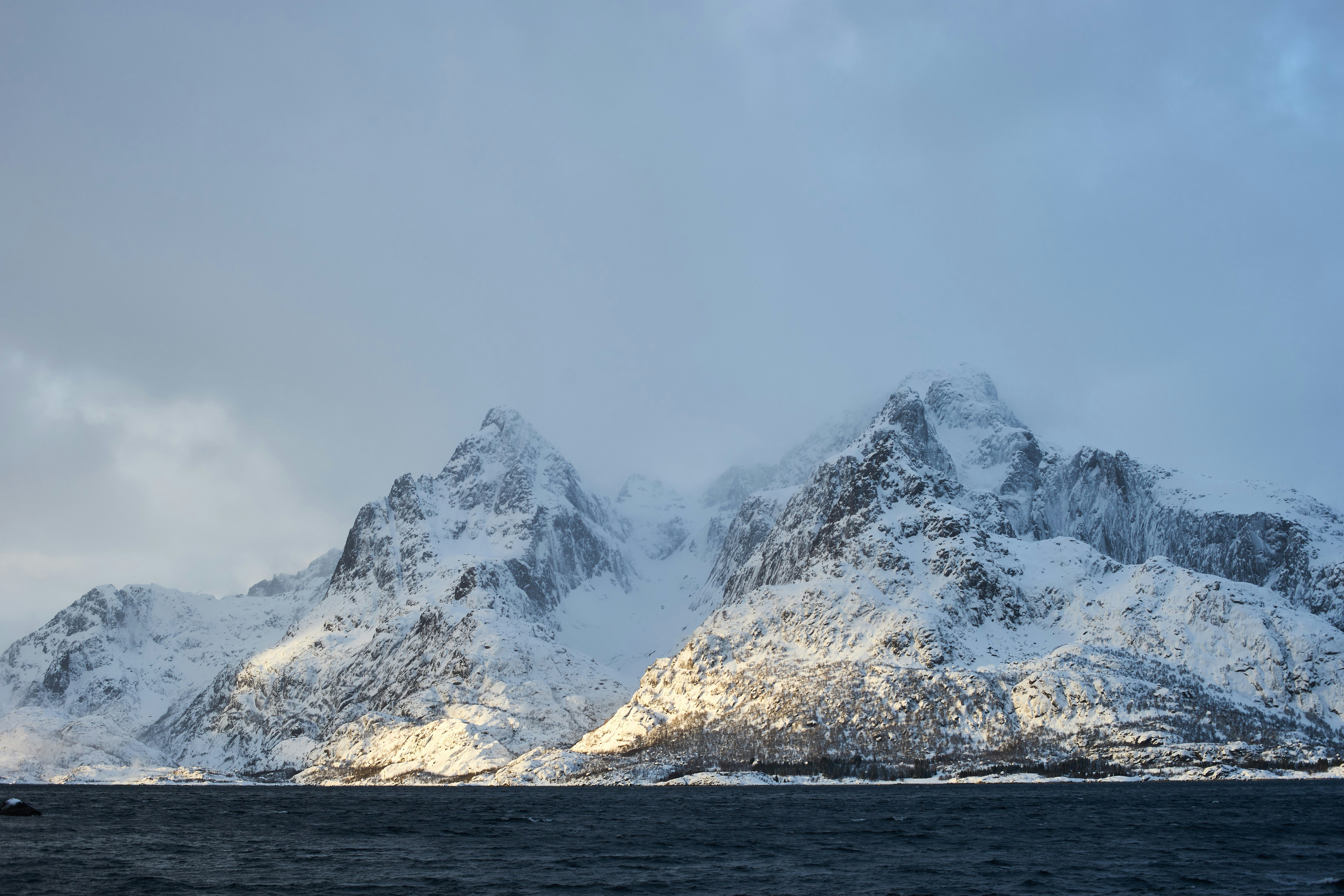 Photo by wolfgang_hasselmann