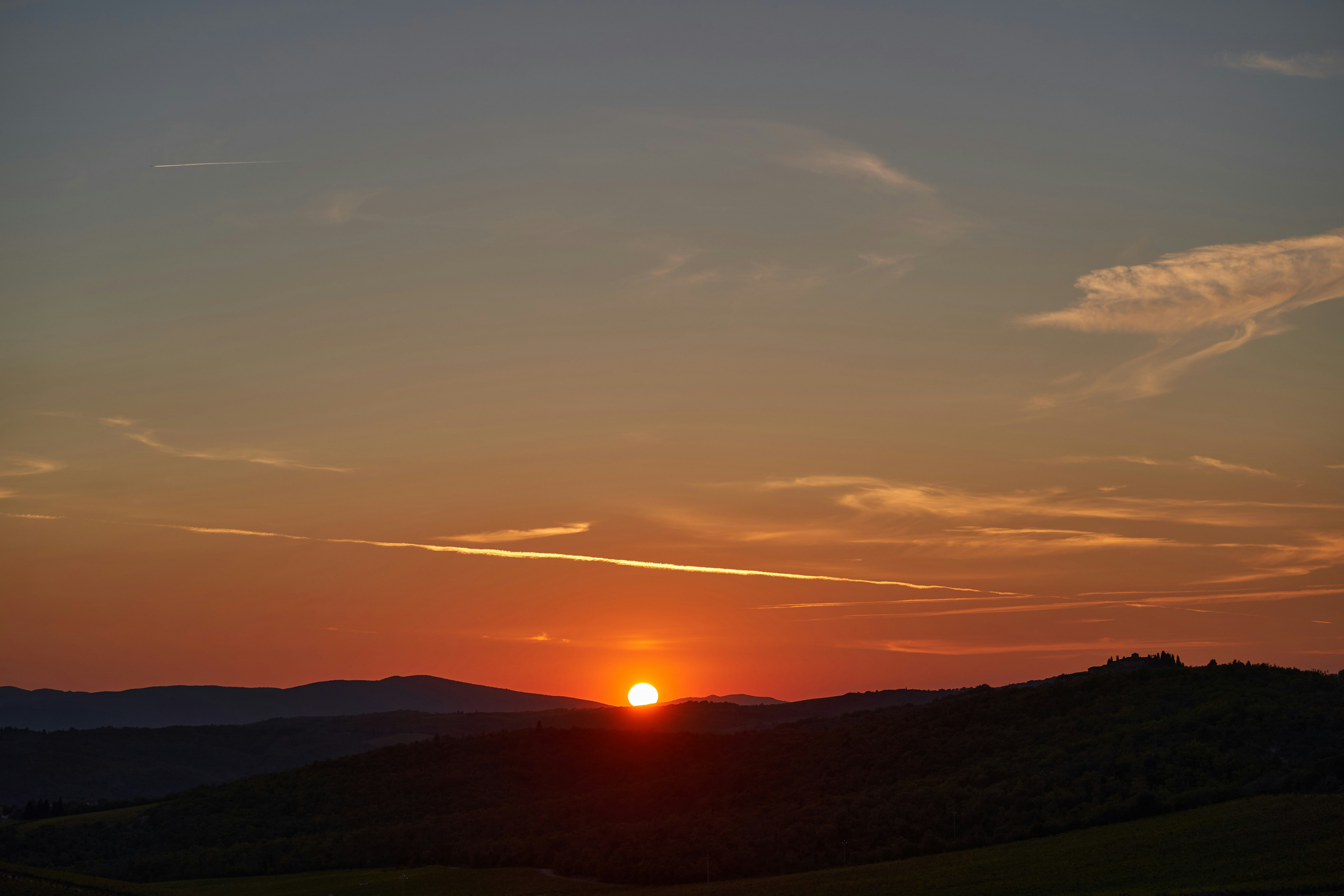 Photo by wolfgang_hasselmann