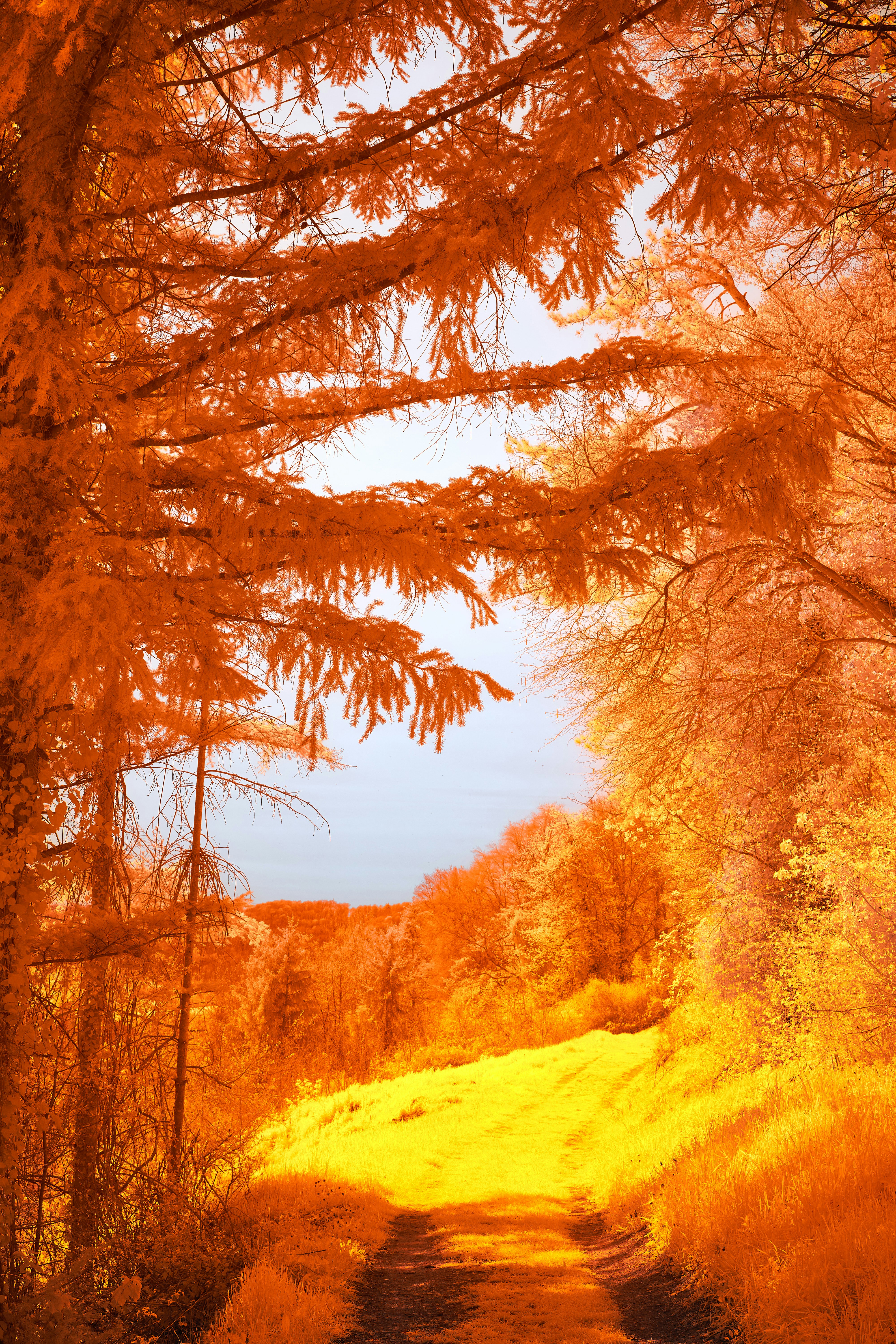 Photo by wolfgang_hasselmann