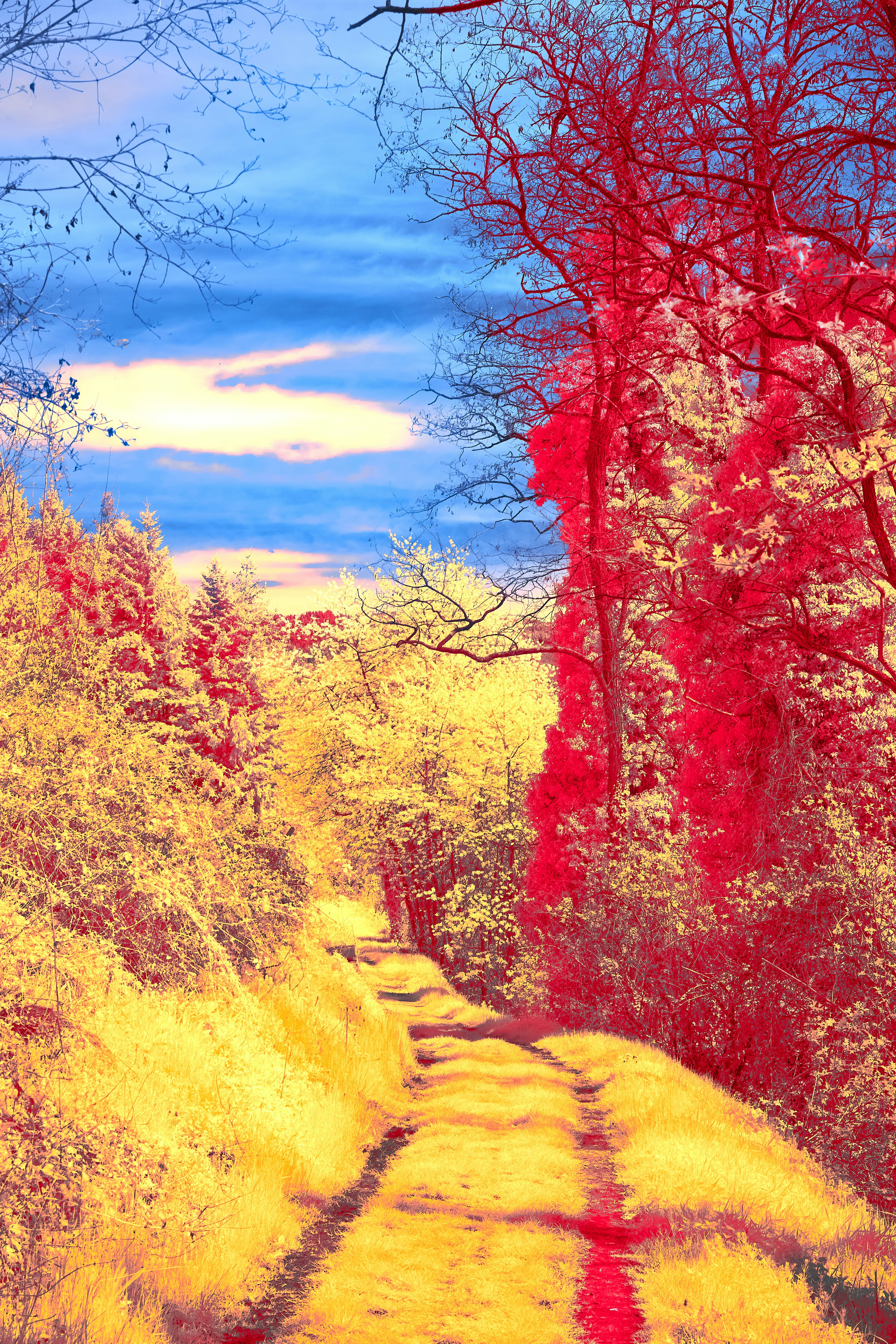 Photo by wolfgang_hasselmann