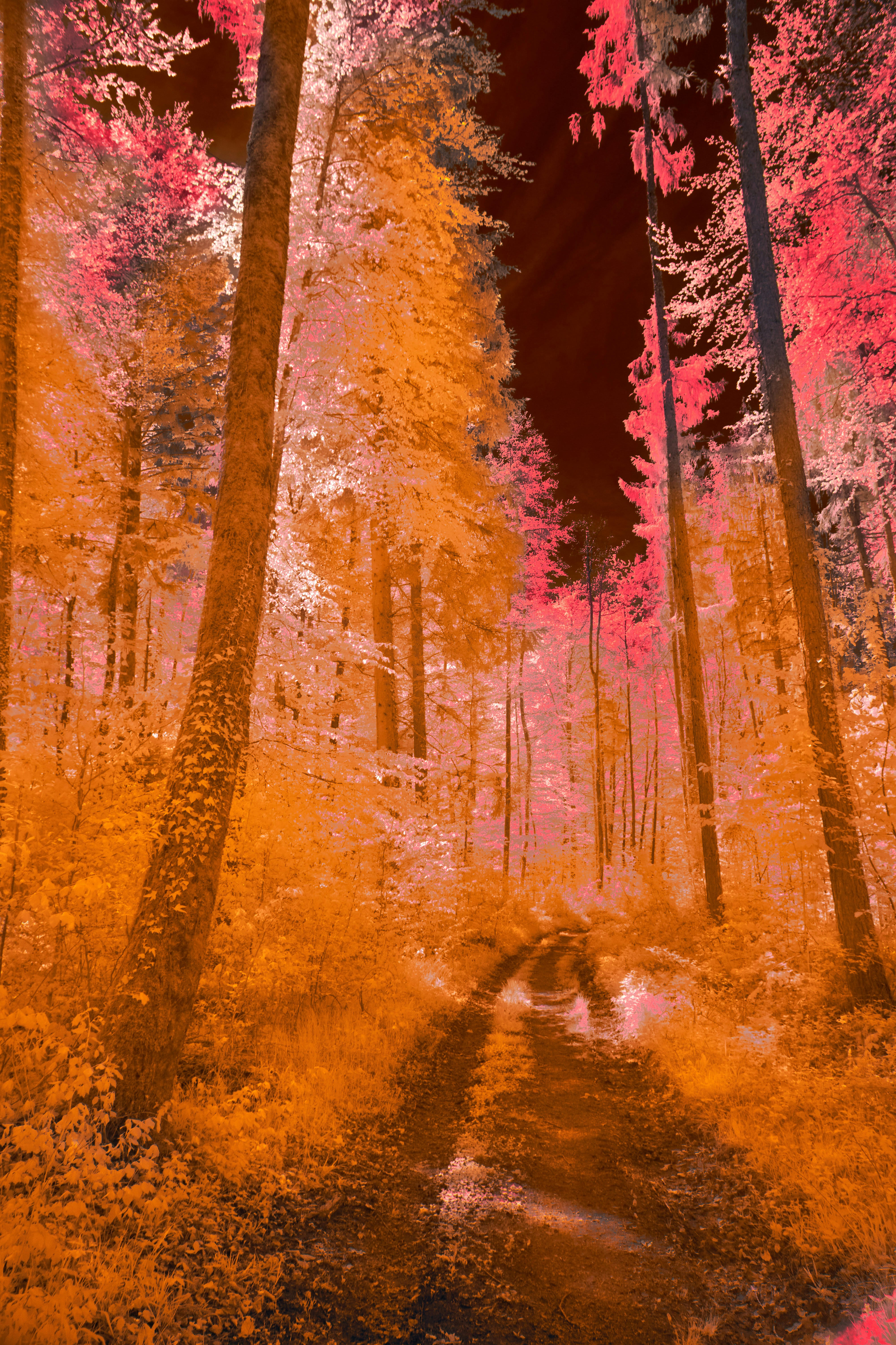 Photo by wolfgang_hasselmann