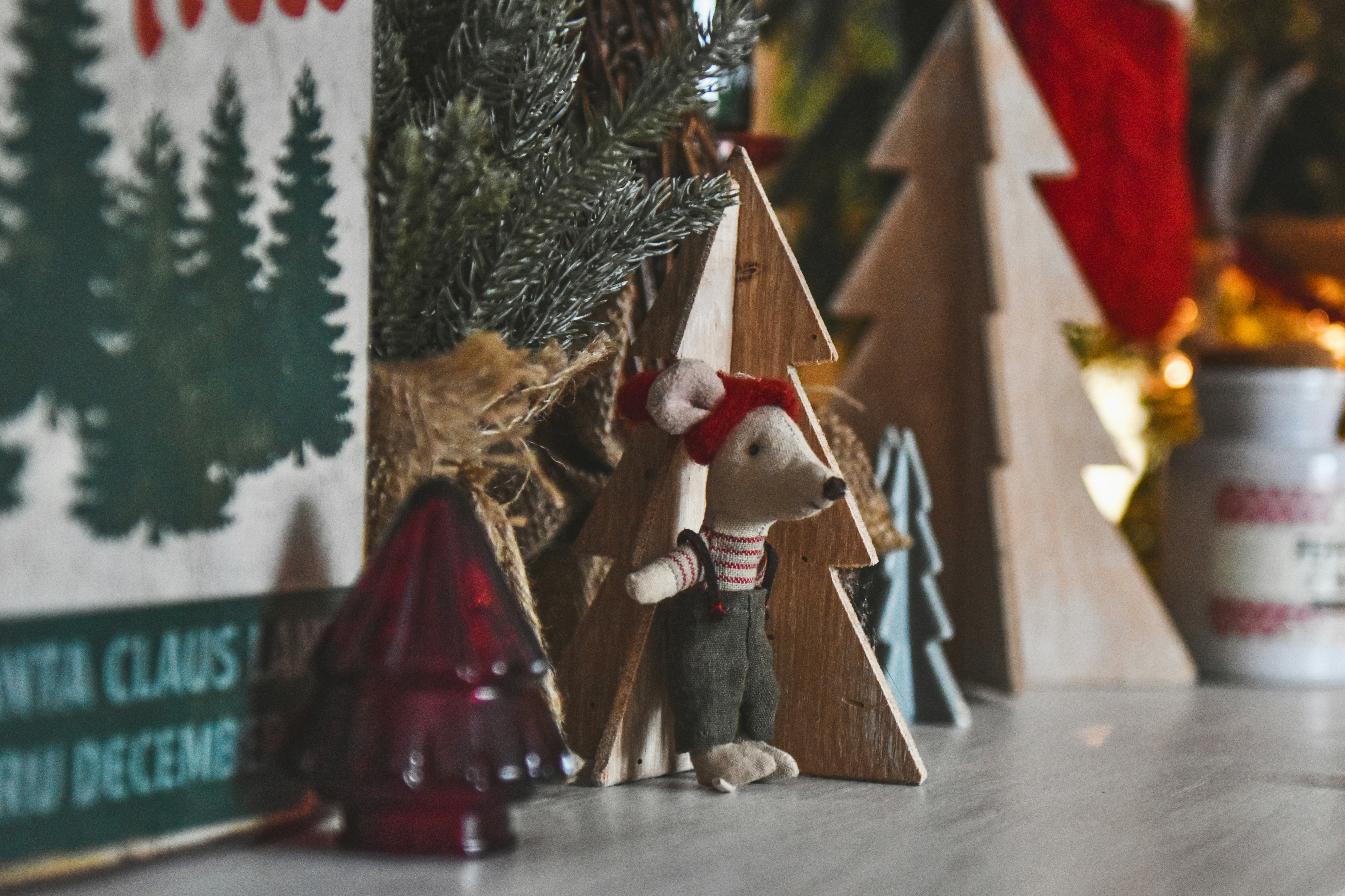 Photo by freefolkphoto