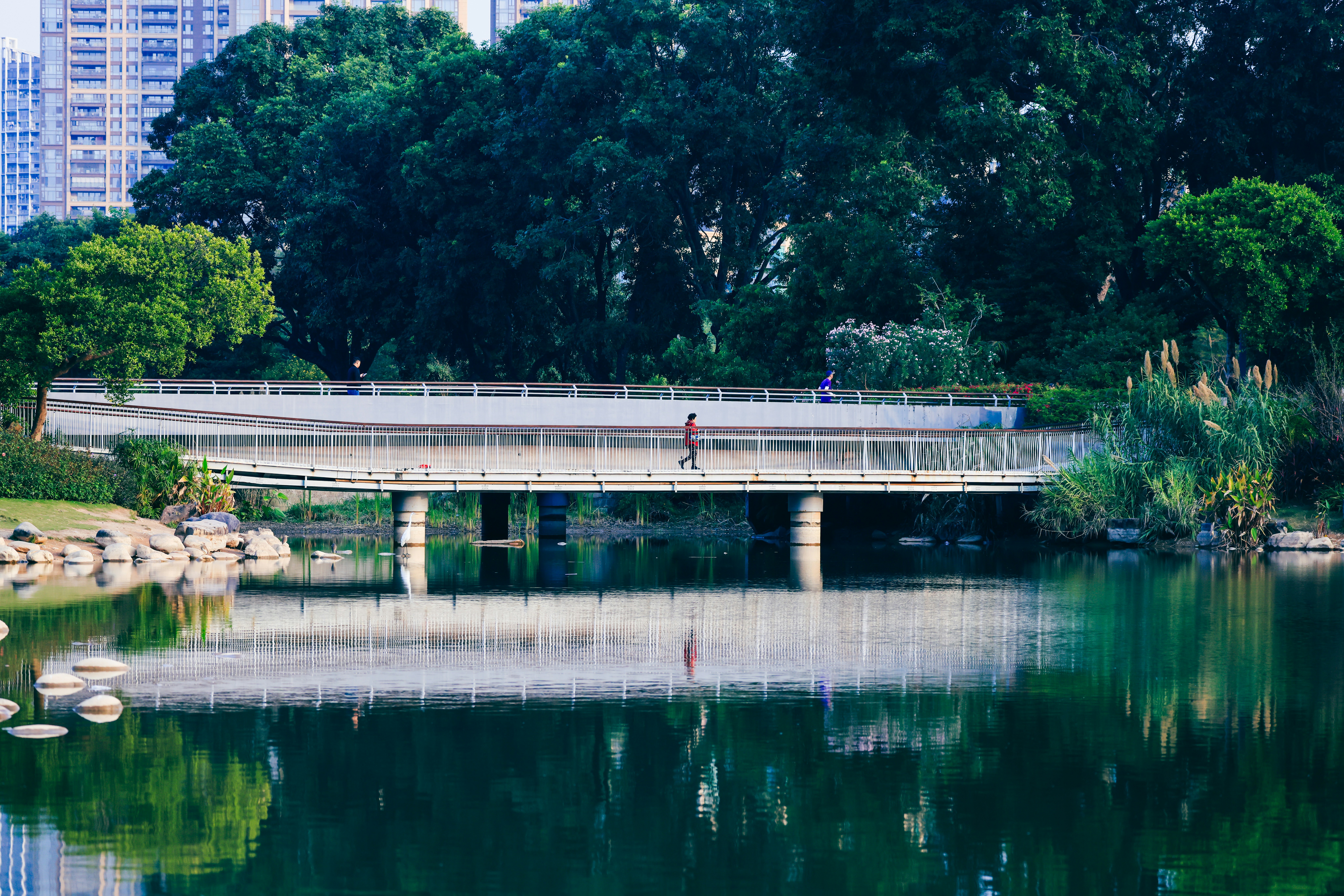 Photo by dickenslin76