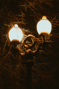 A couple of street lights sitting on top of a pole