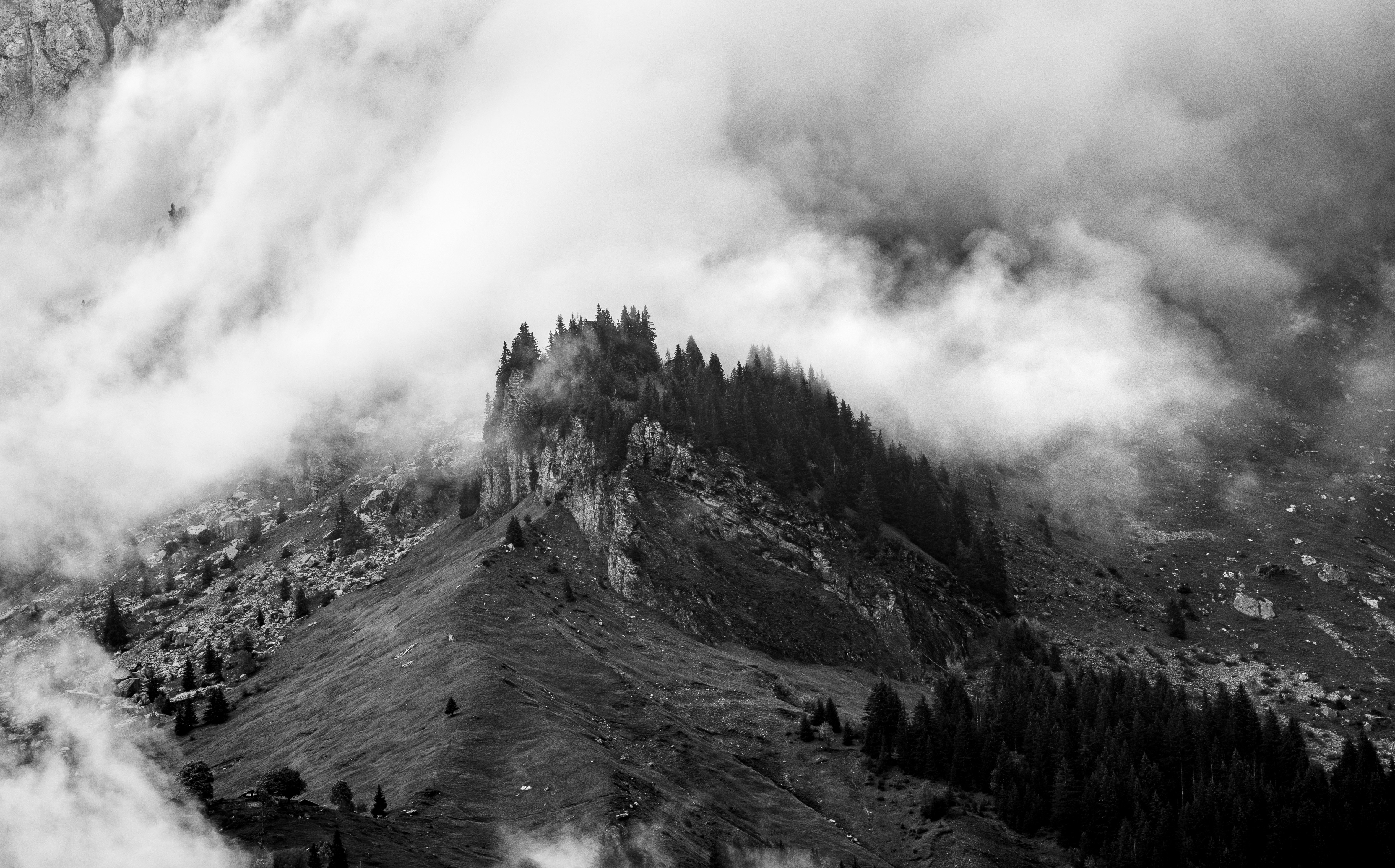 Photo by marekpiwnicki