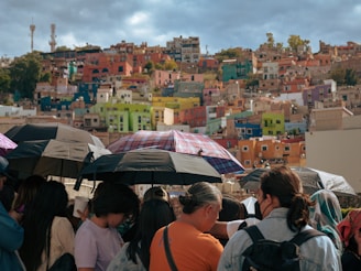 A group of people standing under umbrellas in the rain
