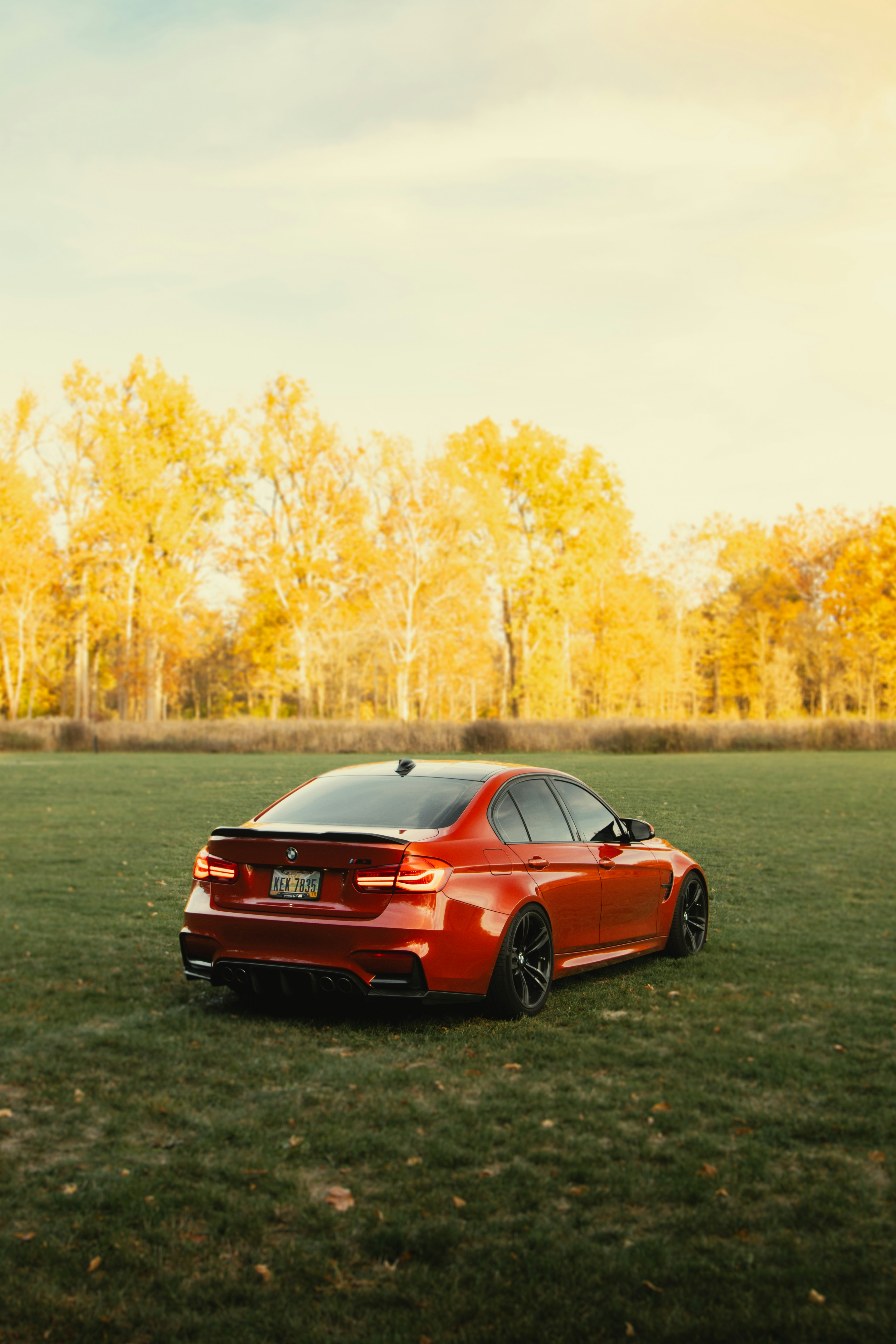 A red car is parked in the grass