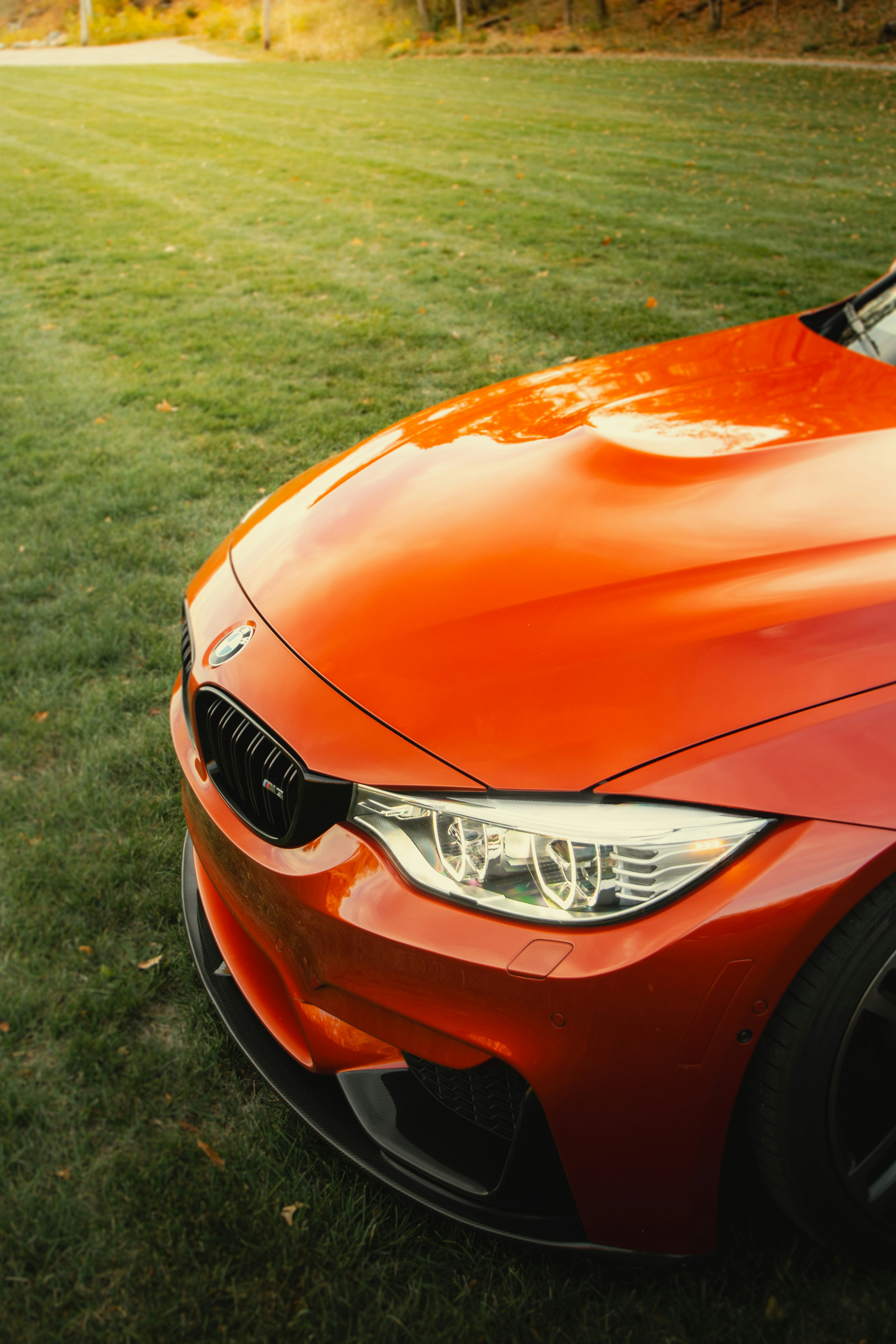 Un coche naranja aparcado en lo alto de un exuberante campo verde
