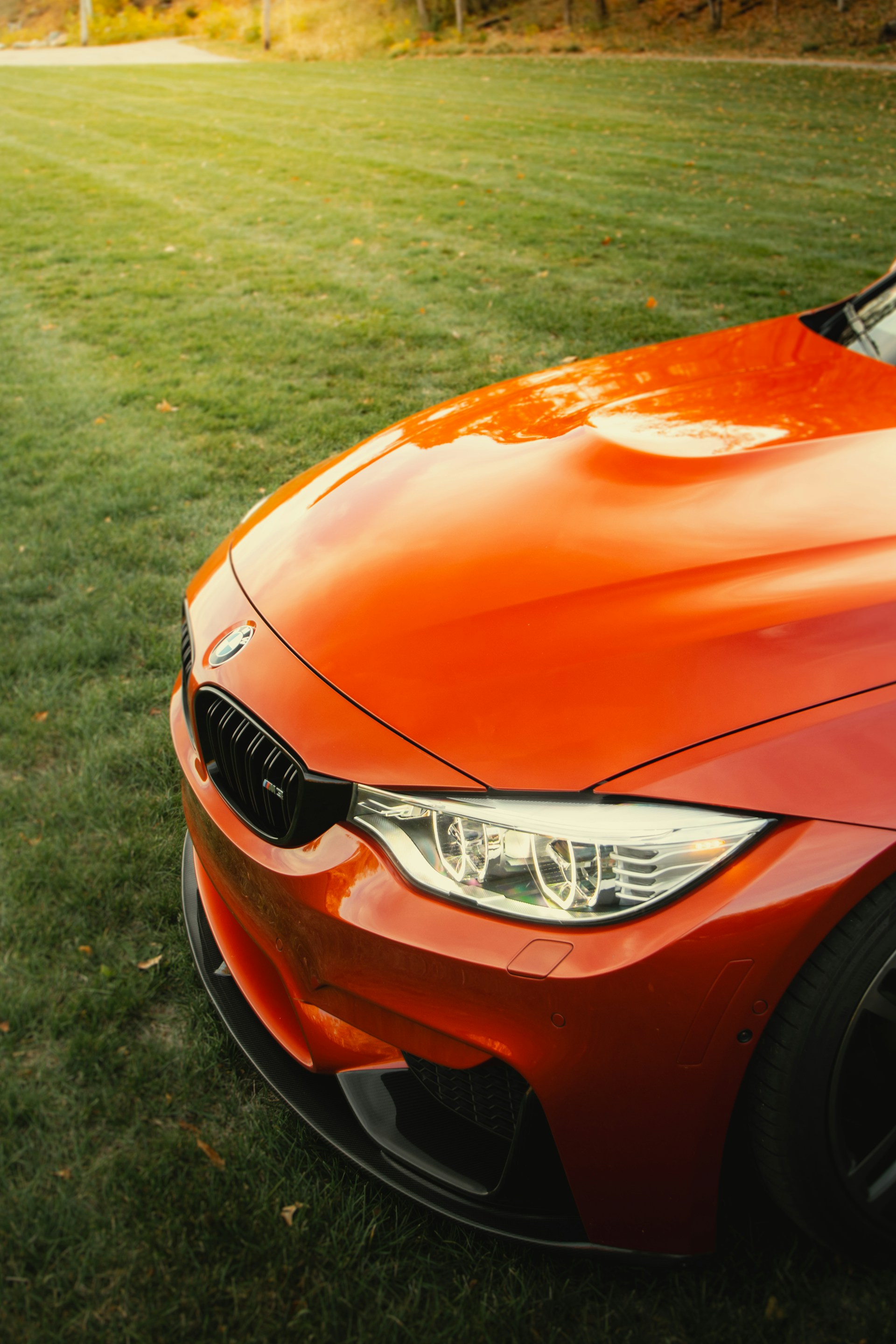 An orange car parked on top of a lush green field