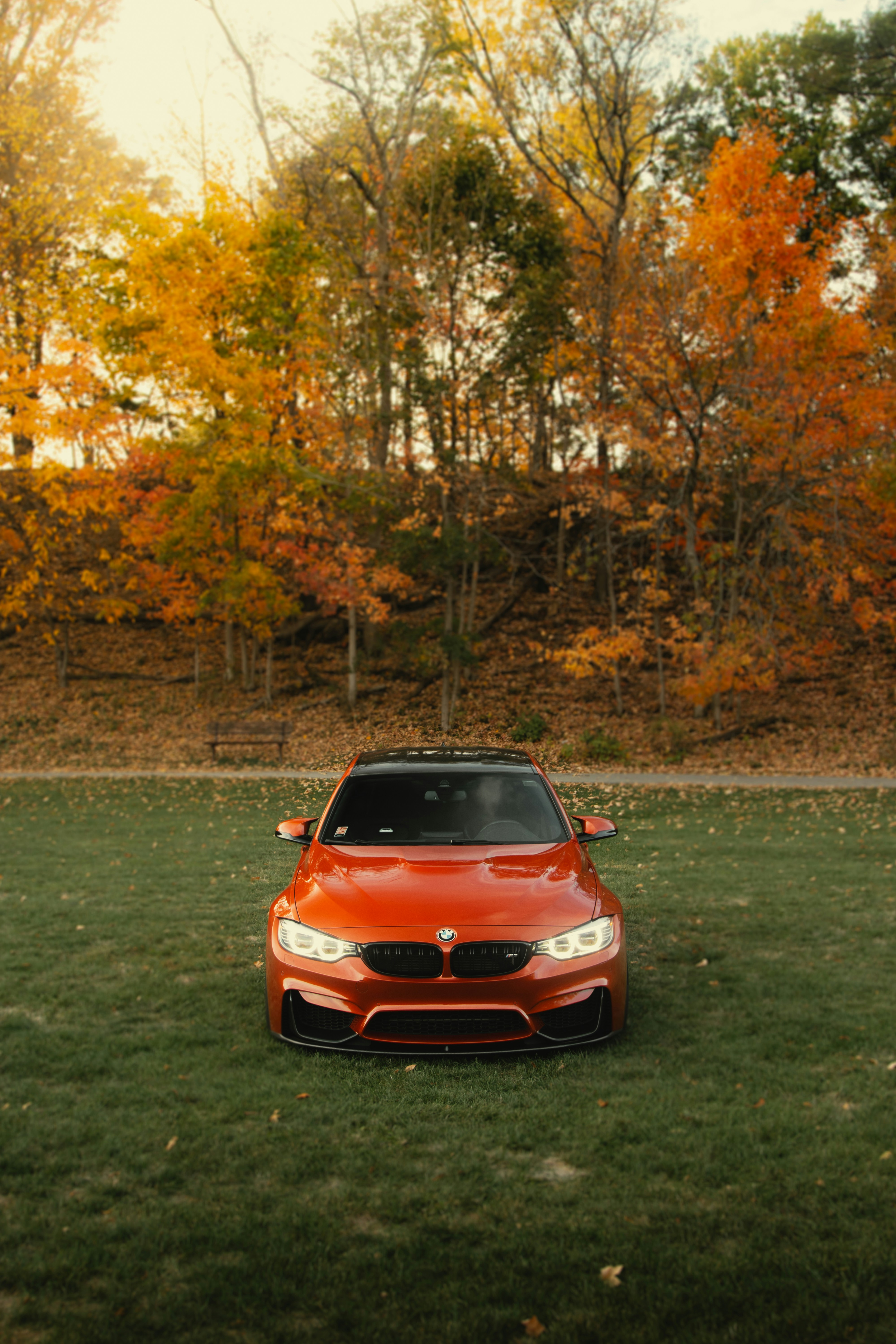 A red car parked on top of a lush green field