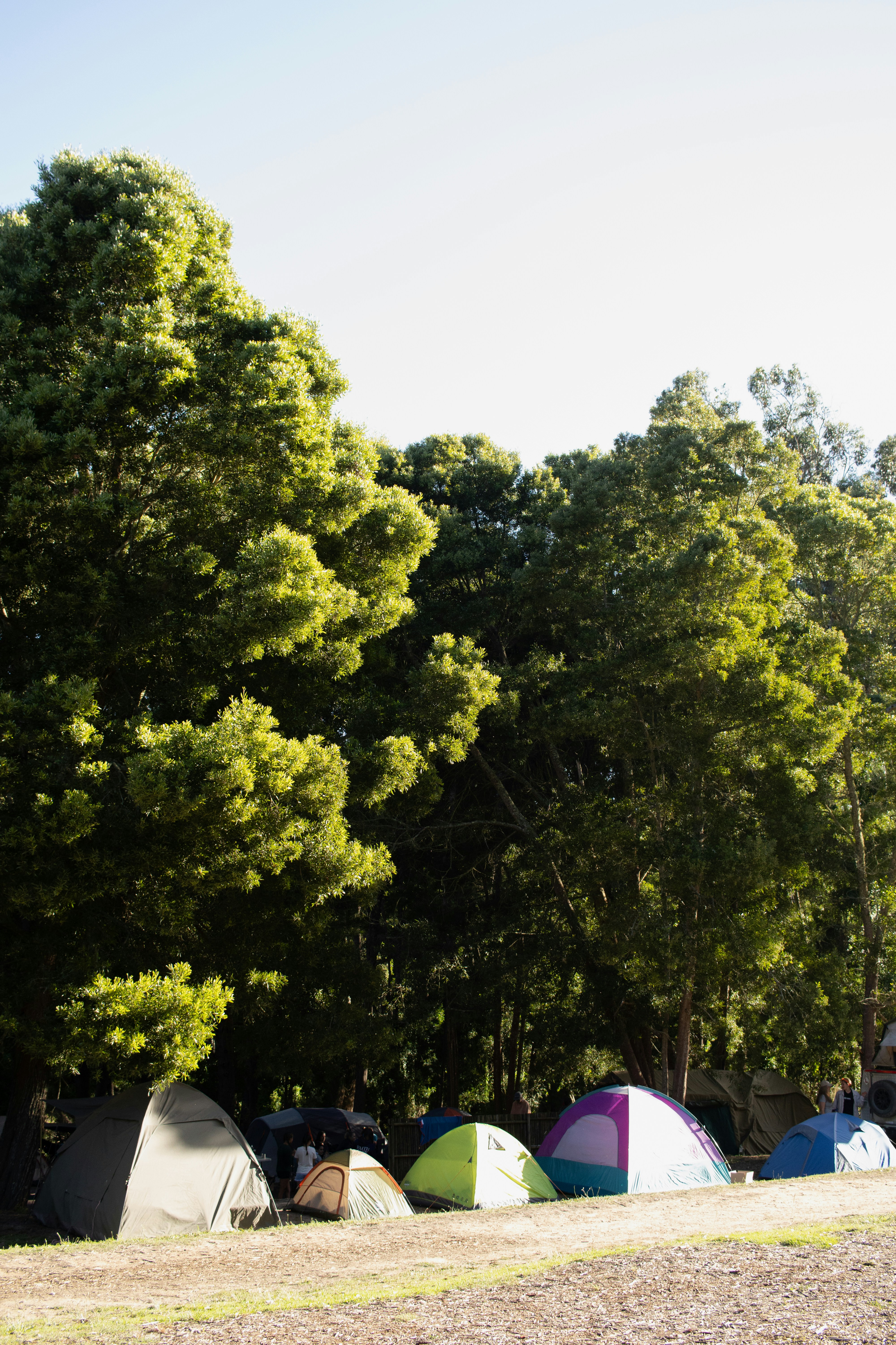 Photo by ashford_marx