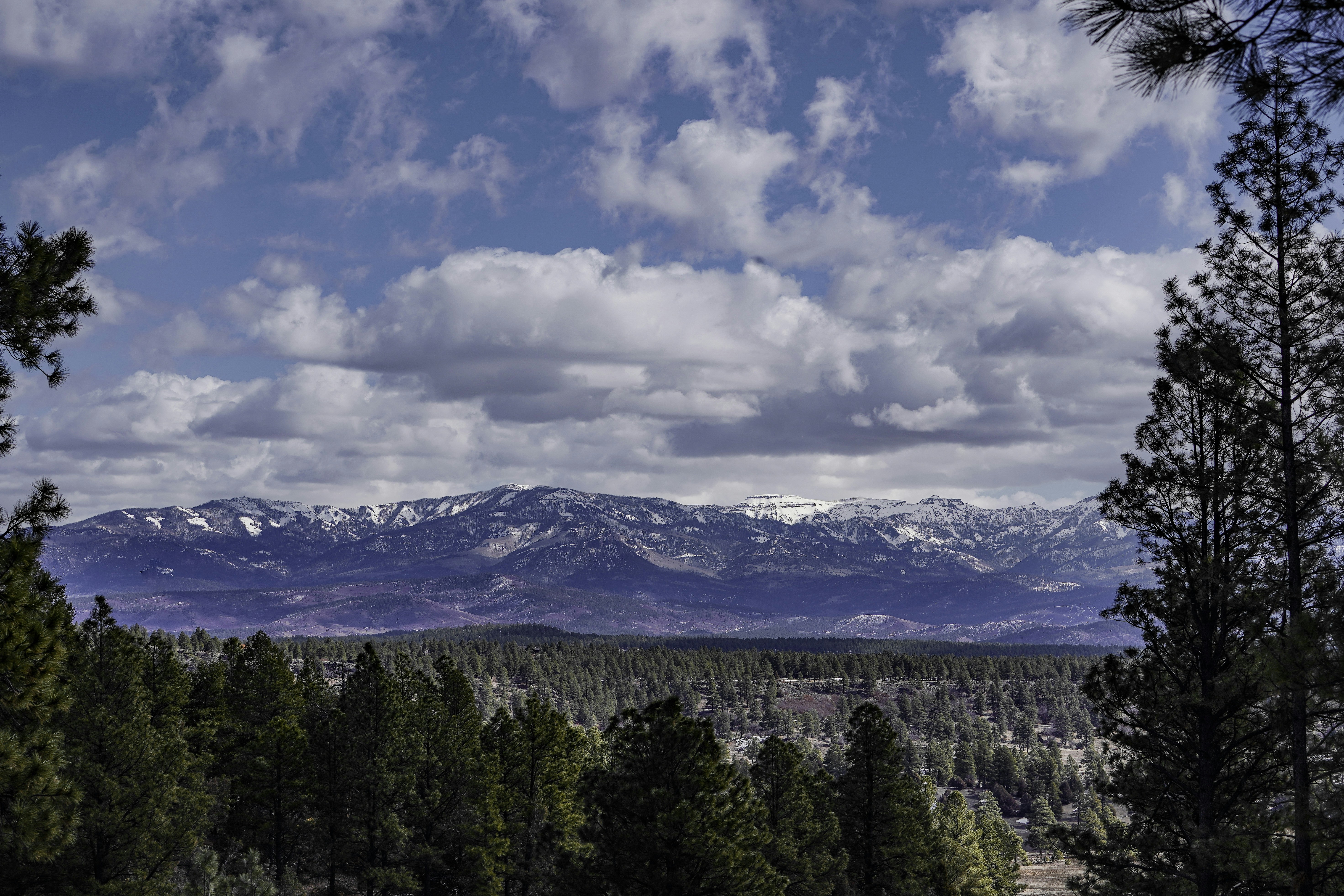 Colorado Springs, CO skyline