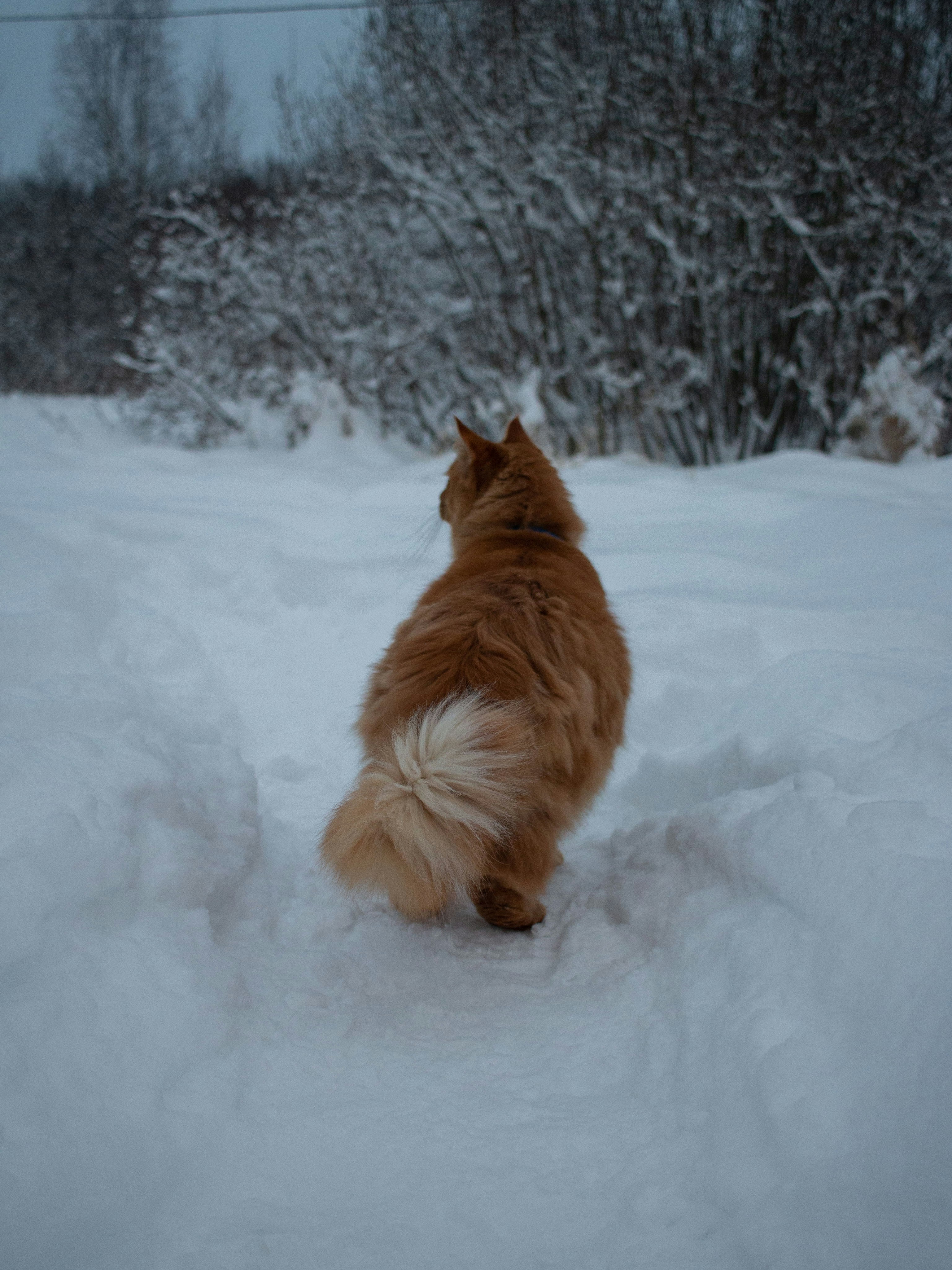 Photo by annie_smurova