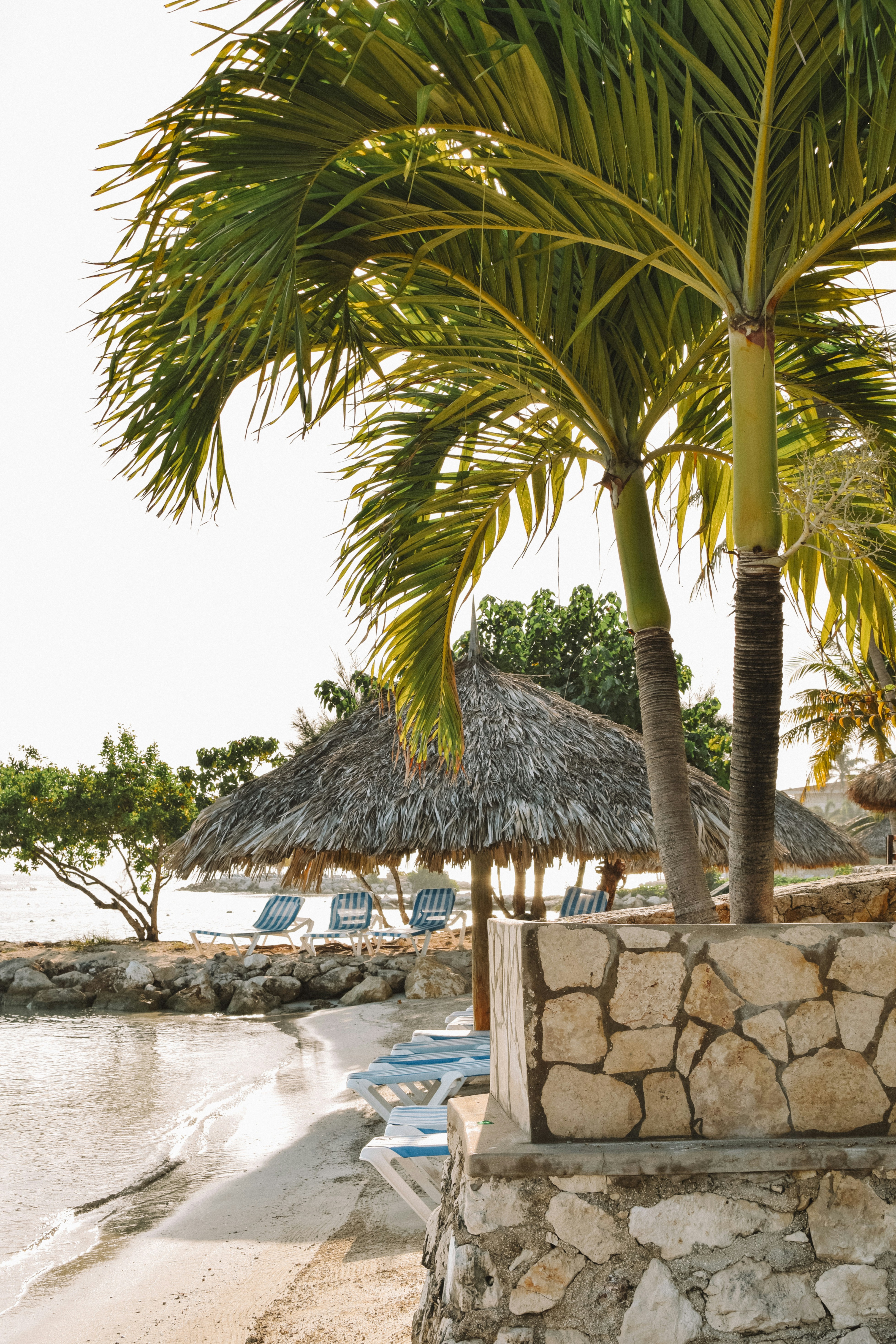 Photo by meganmajocha