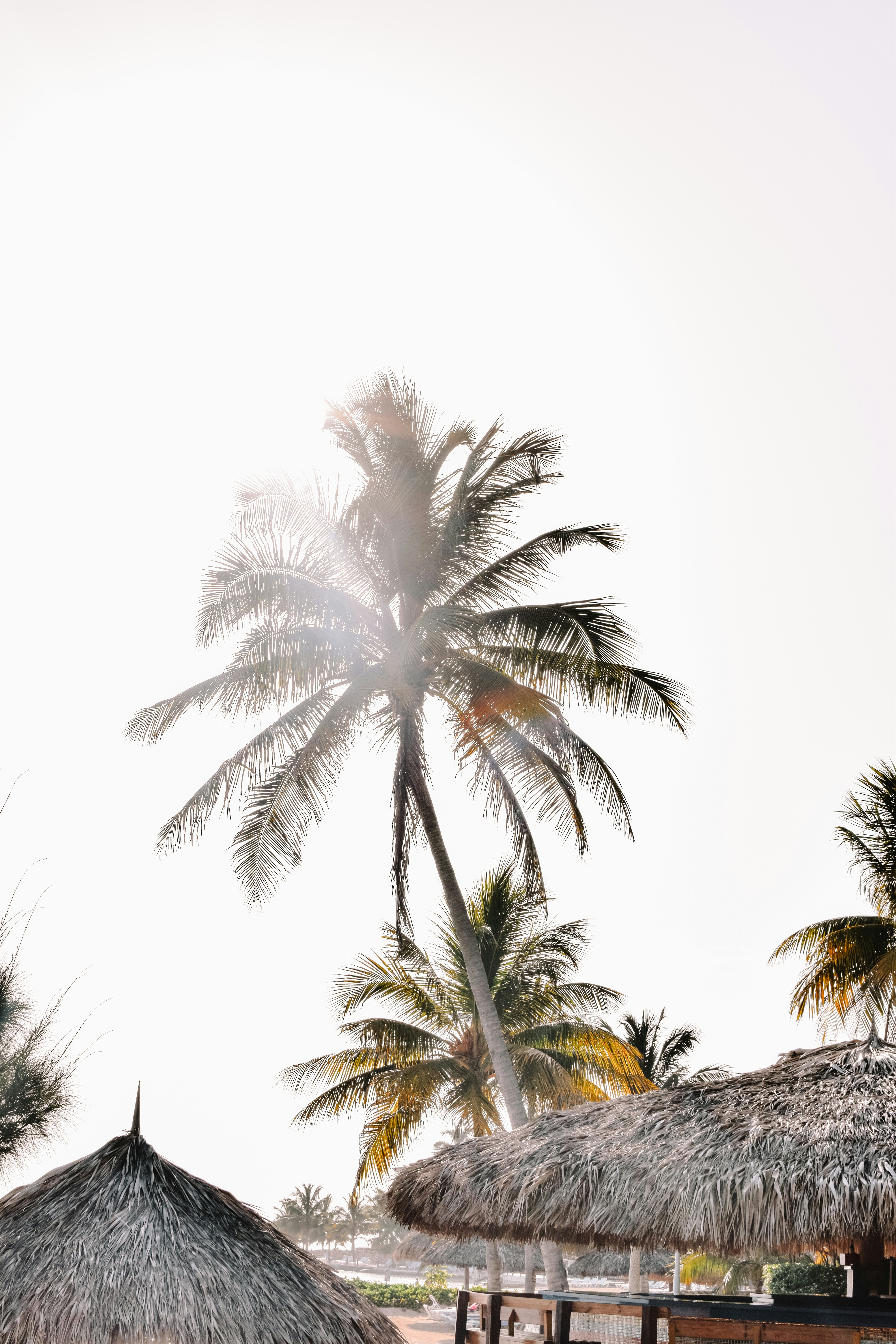 Photo by meganmajocha