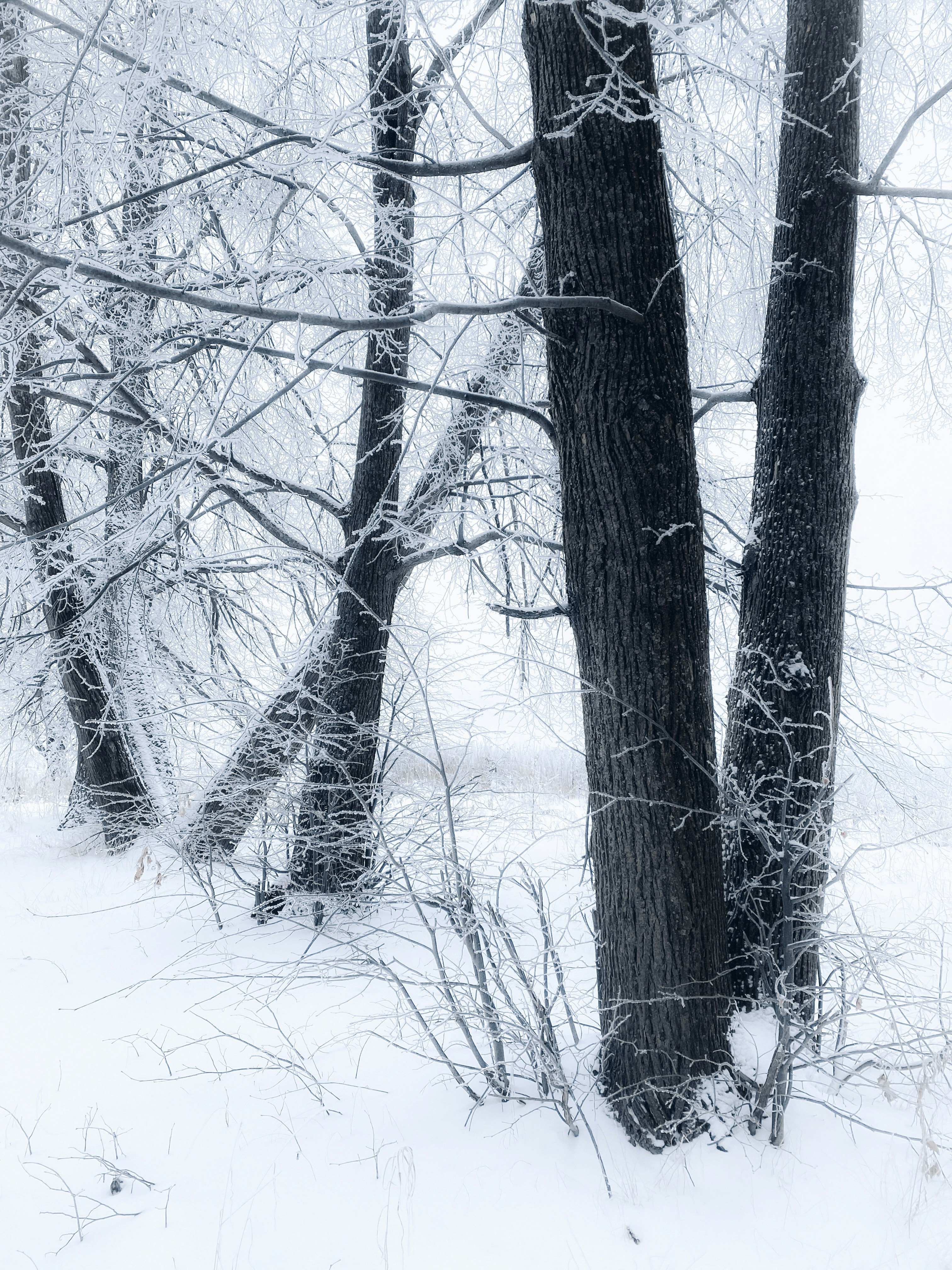 Photo by eugene_golovesov