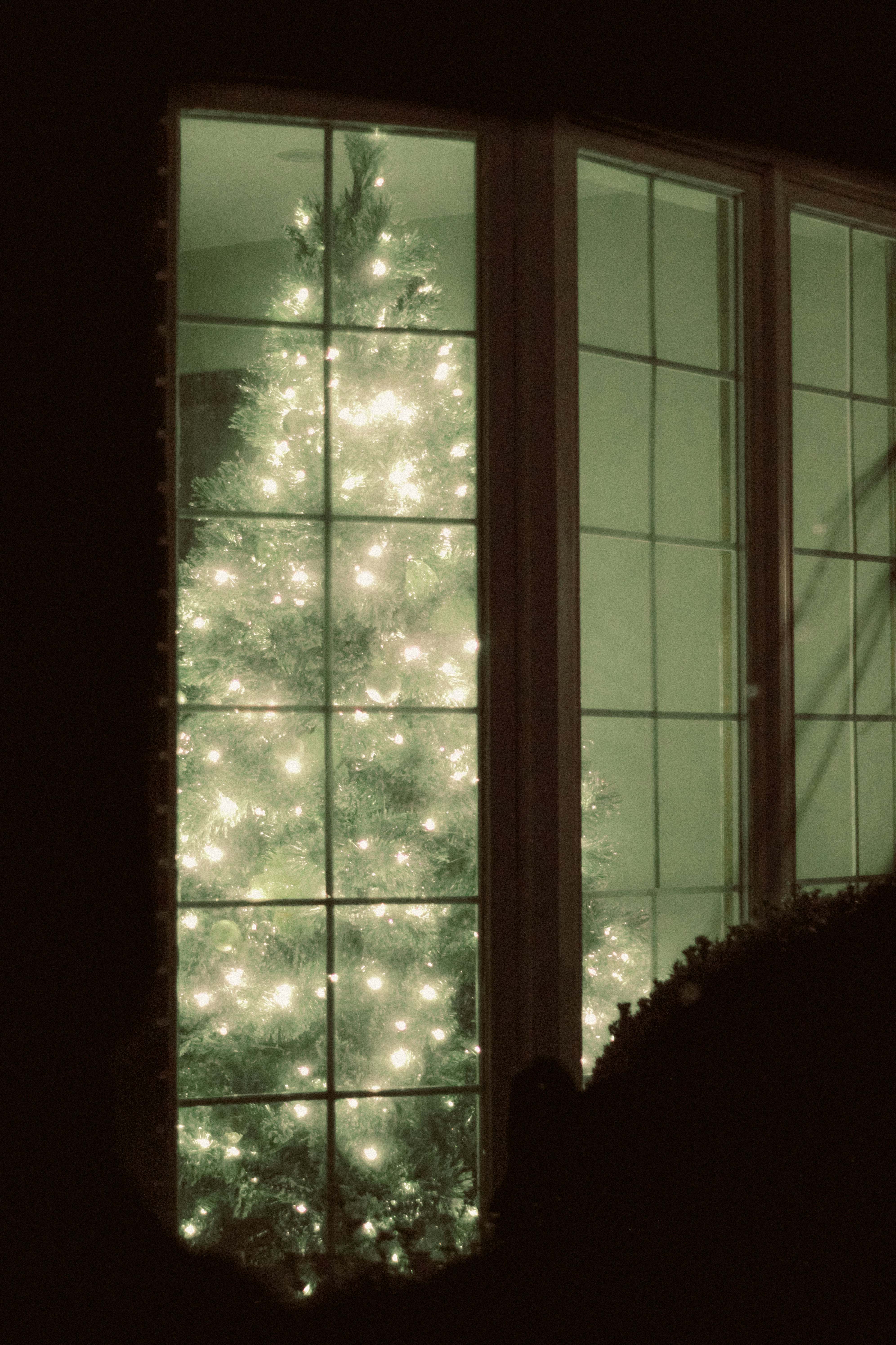 Photo by linusbelanger