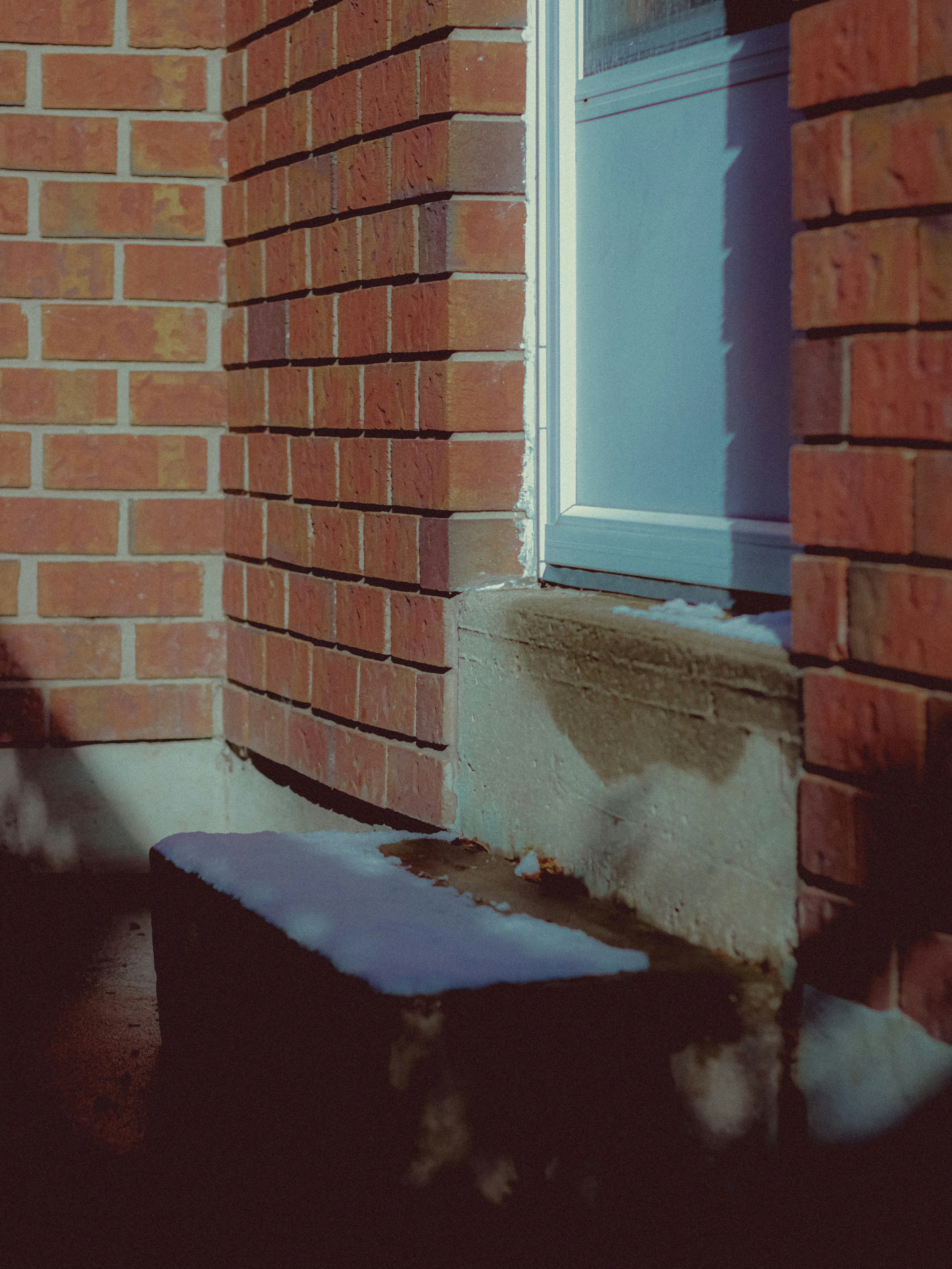 Photo by linusbelanger