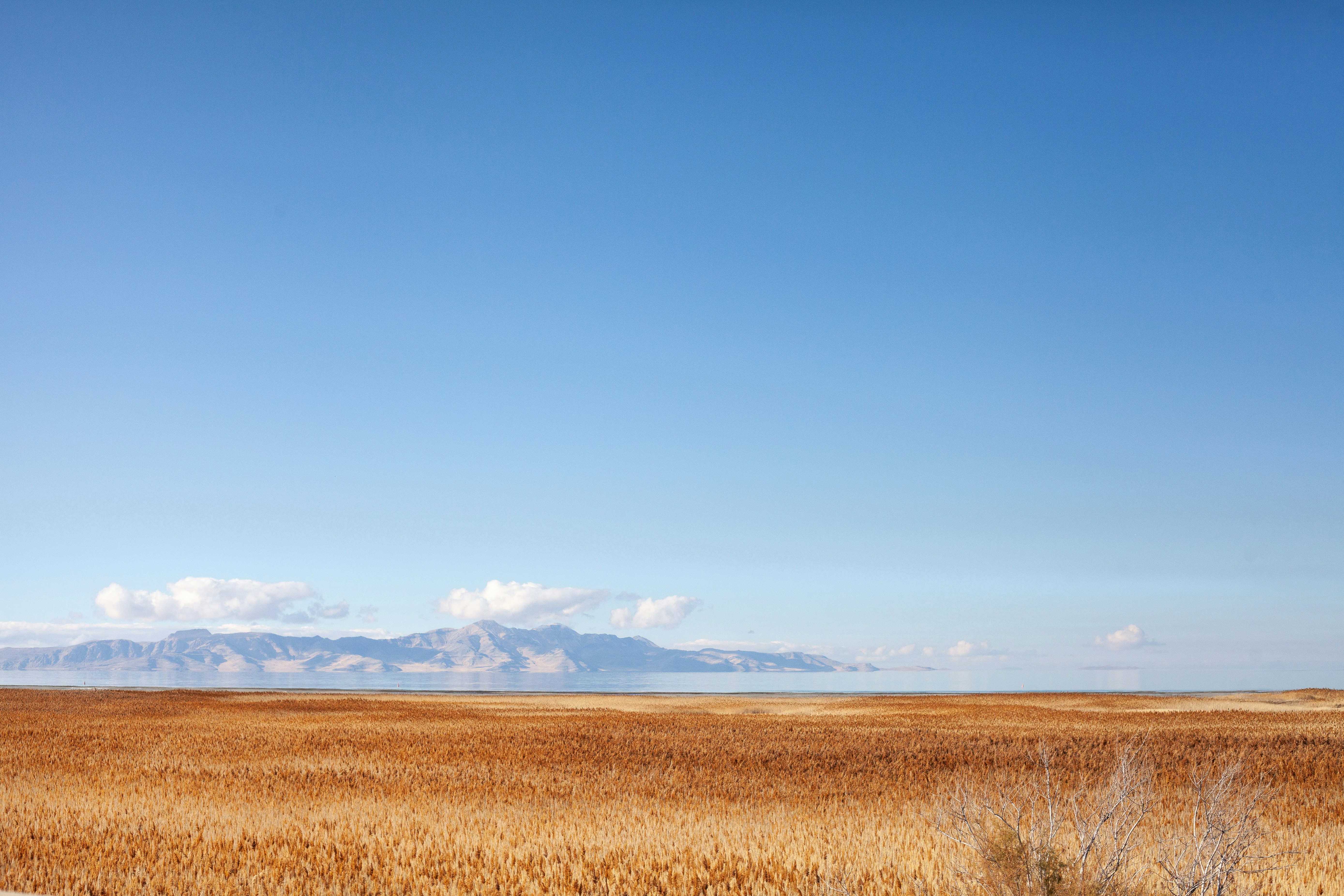 Photo by samdasherx13