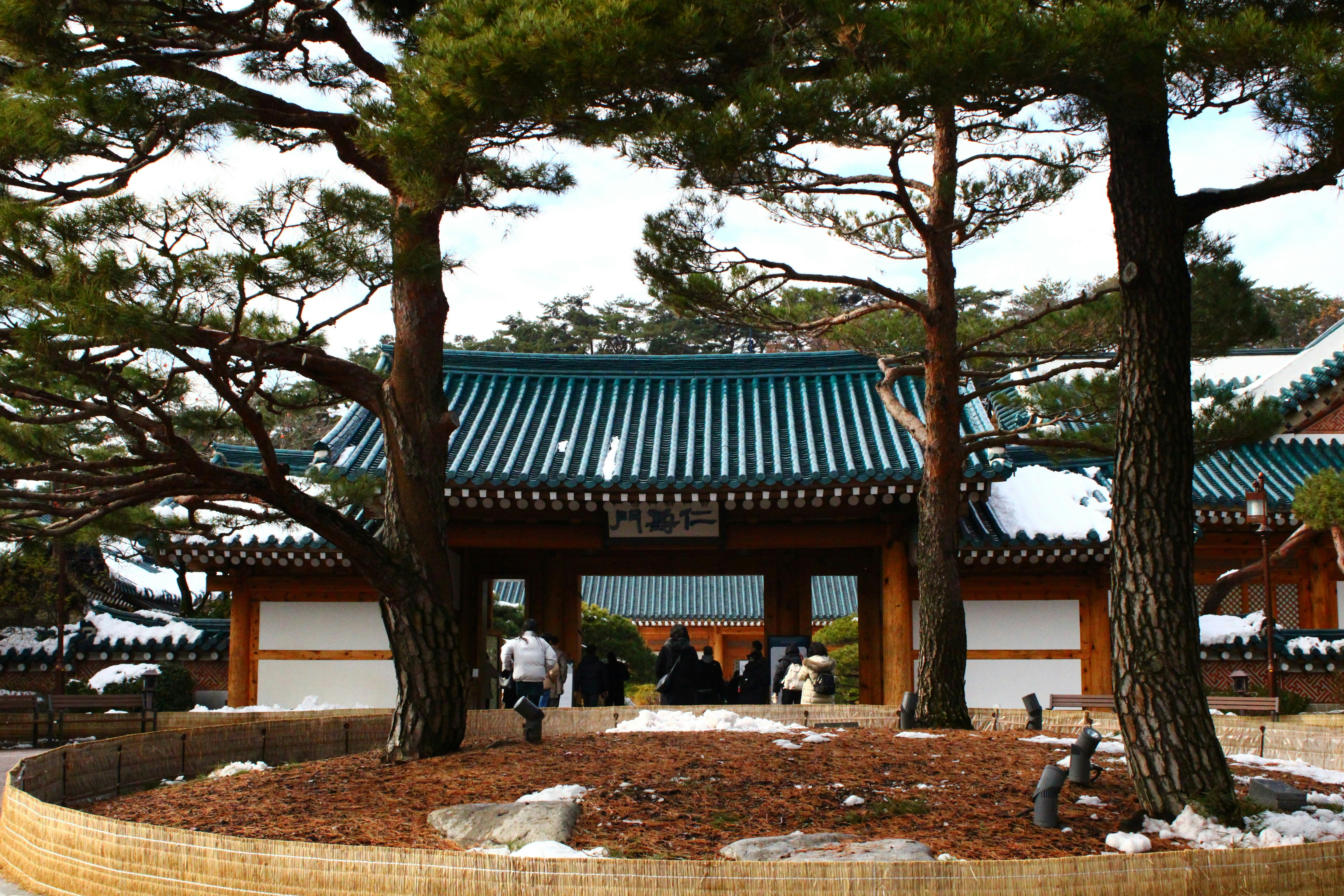 Photo by euclidwongg