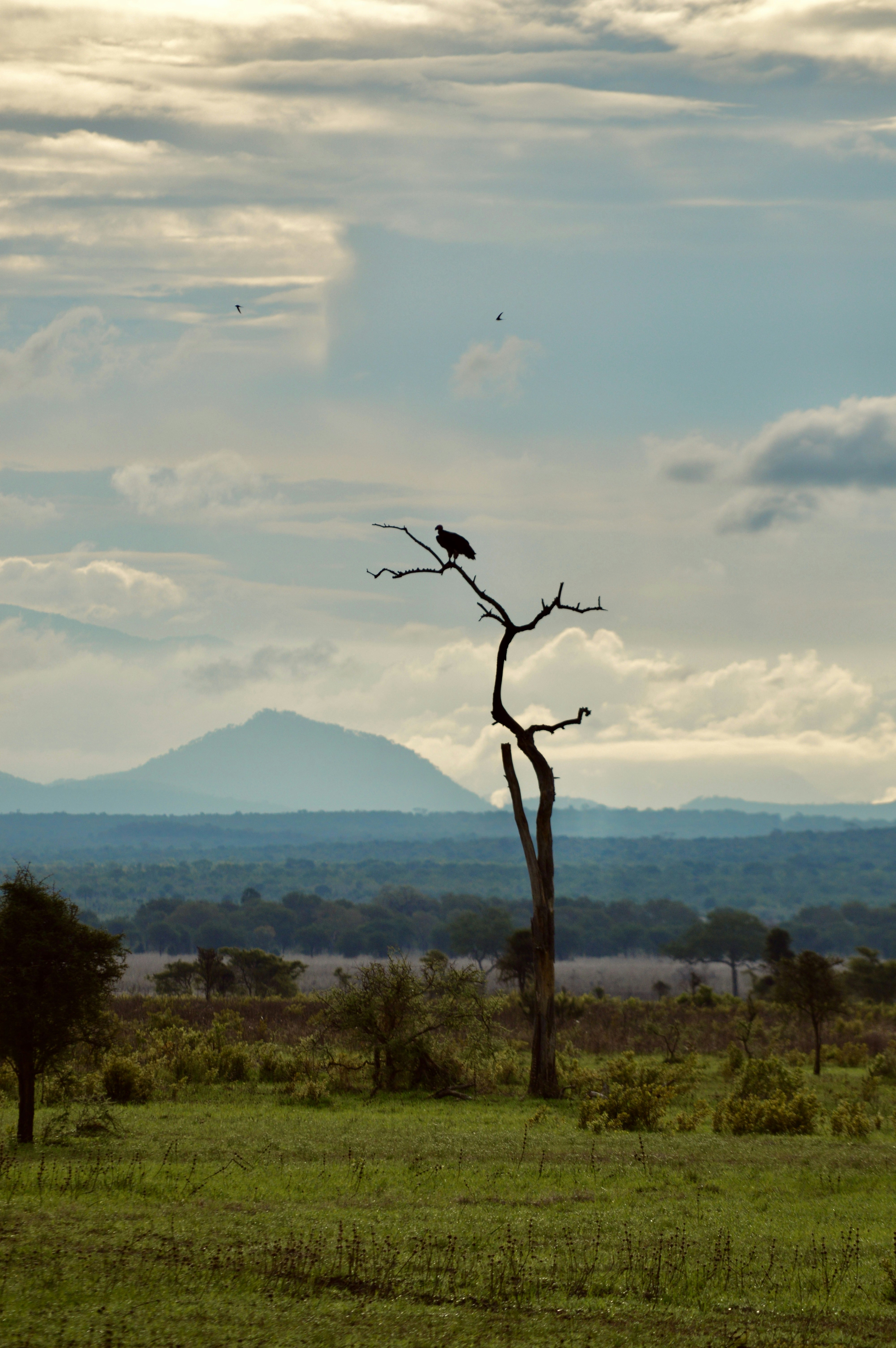 Photo by florentine_horn