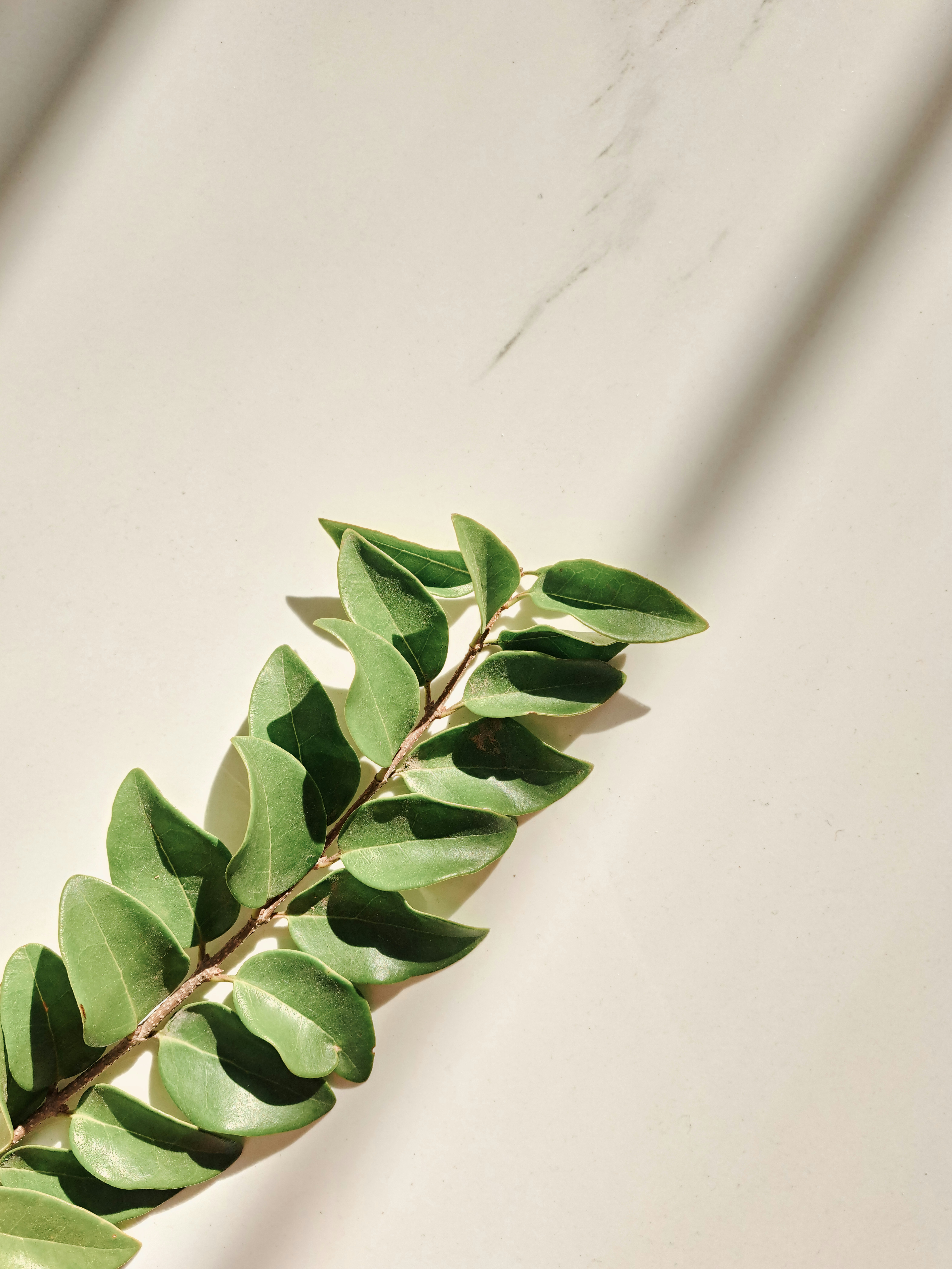 Photo by photo_setayesh